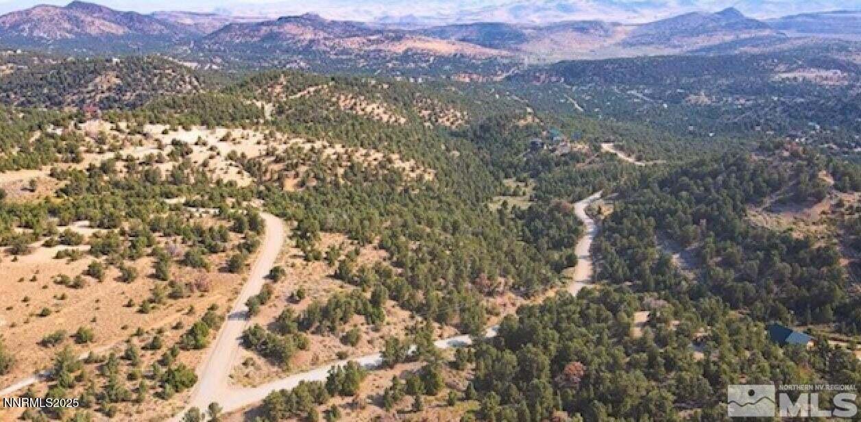 20250410083741325812000000-o