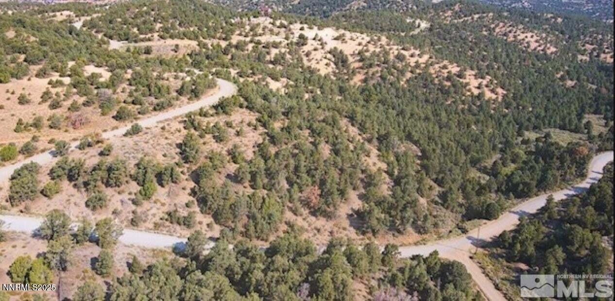 20250410083741325817000000-o