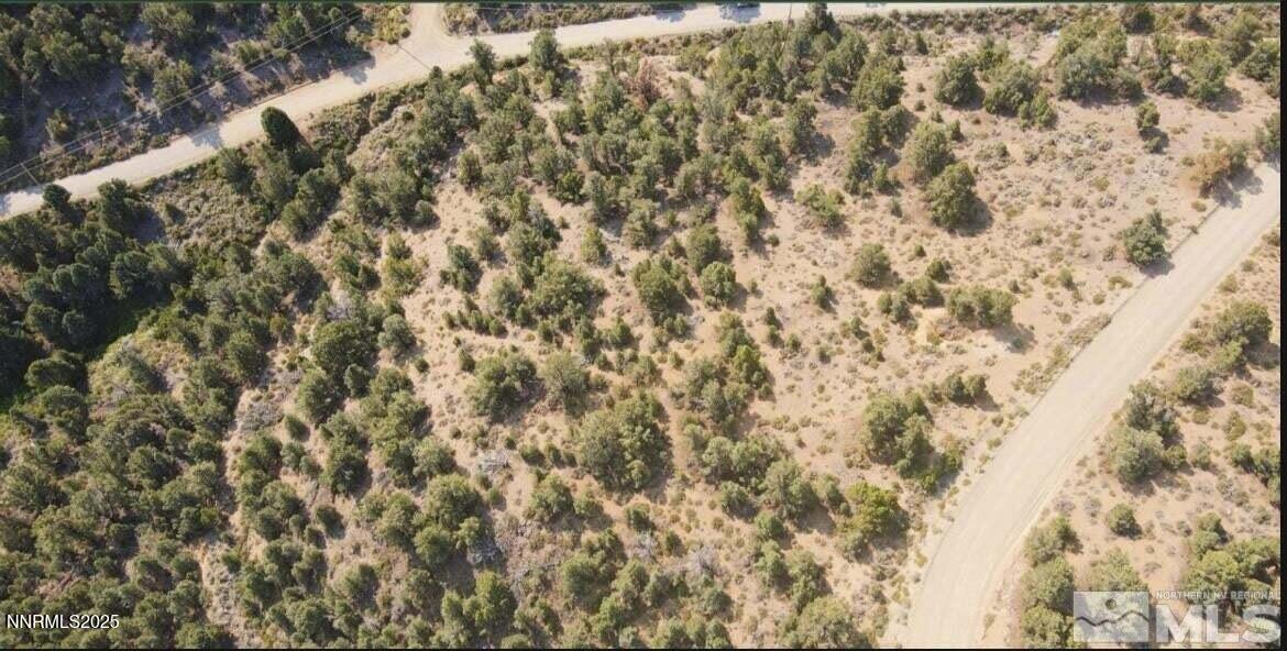 20250410083741325794000000-o