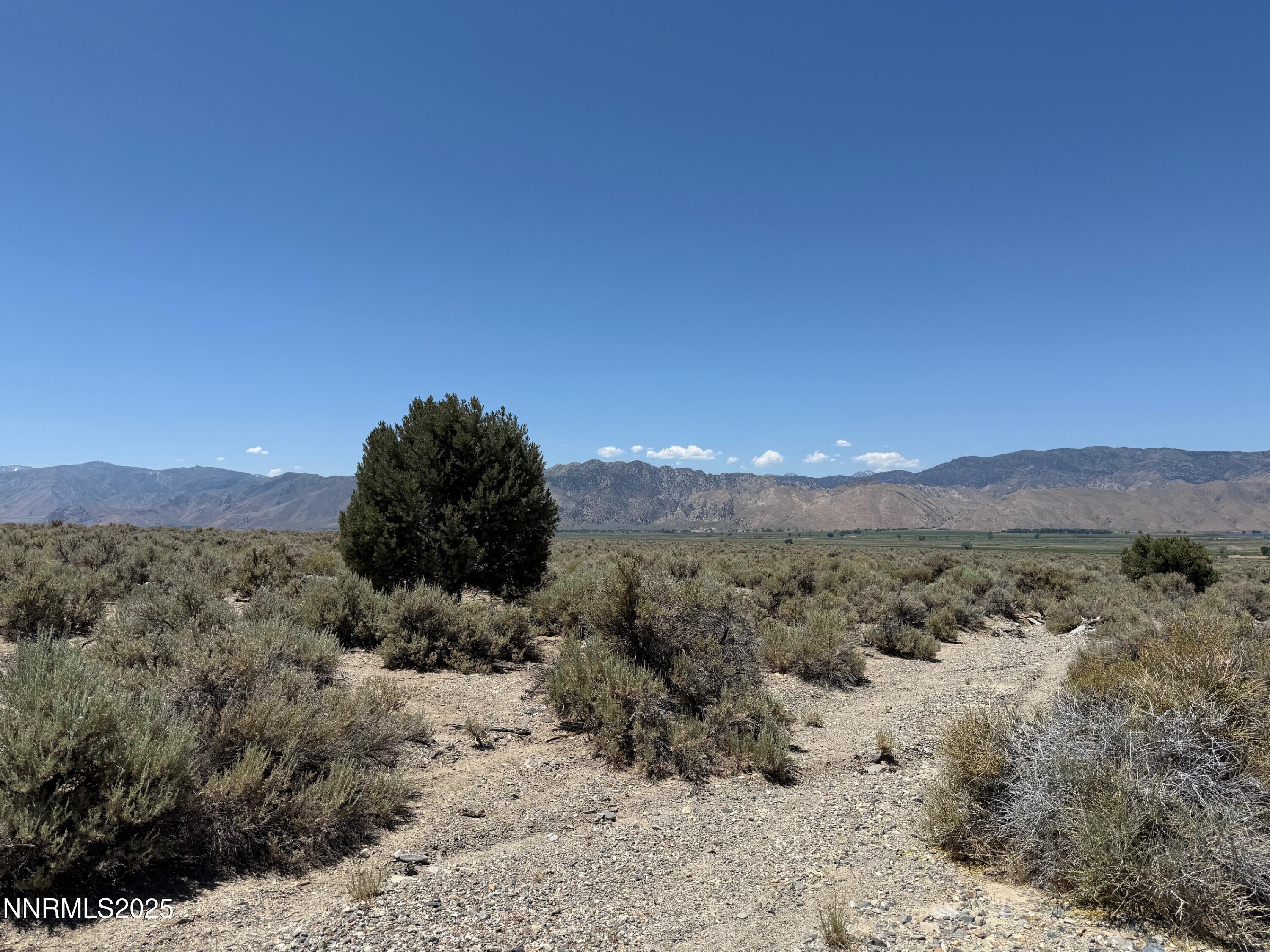 TBD Fenceline Road