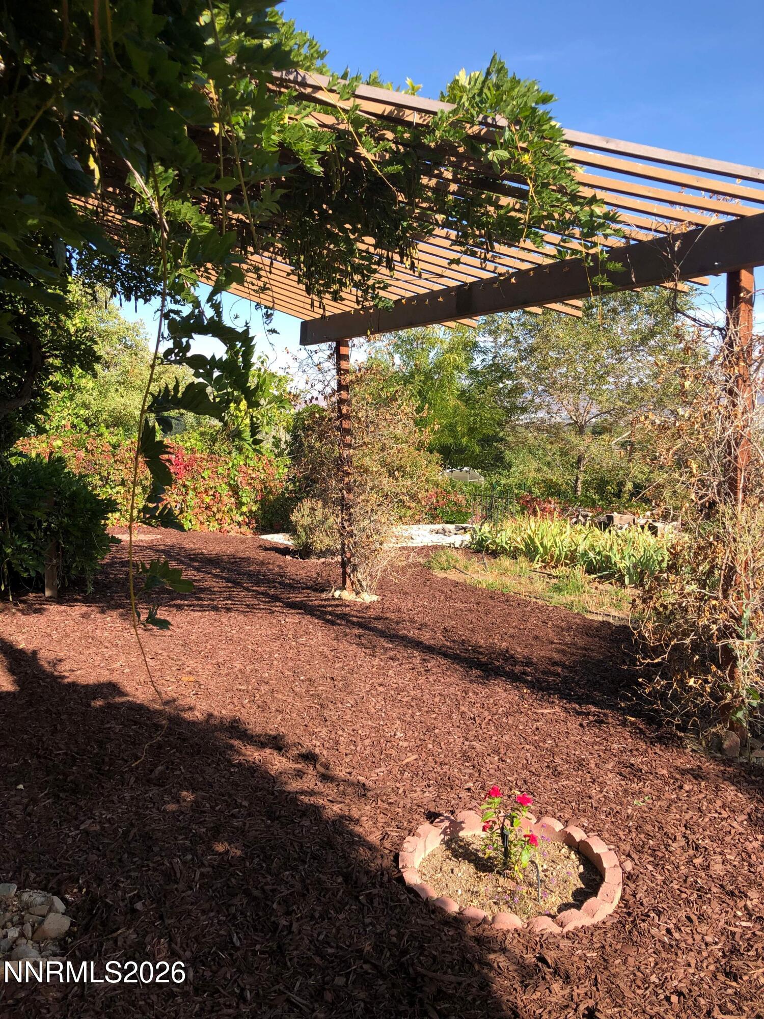 d3bddd182b351b3d20231204-97-aya6du