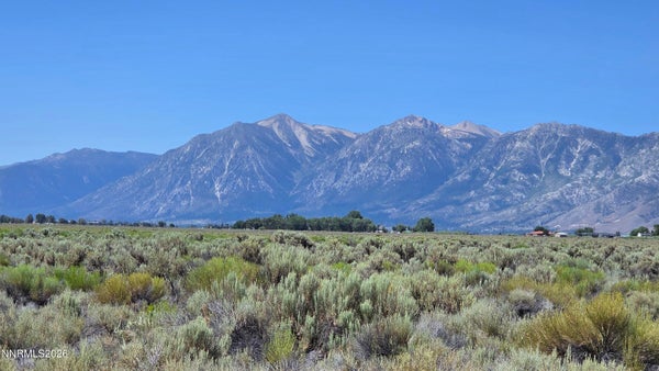 1205 STEPHANIE WAY, MINDEN, NV 89423 - Image 0bd4616de6c4d6276f47378eb2f287c2/4055452512