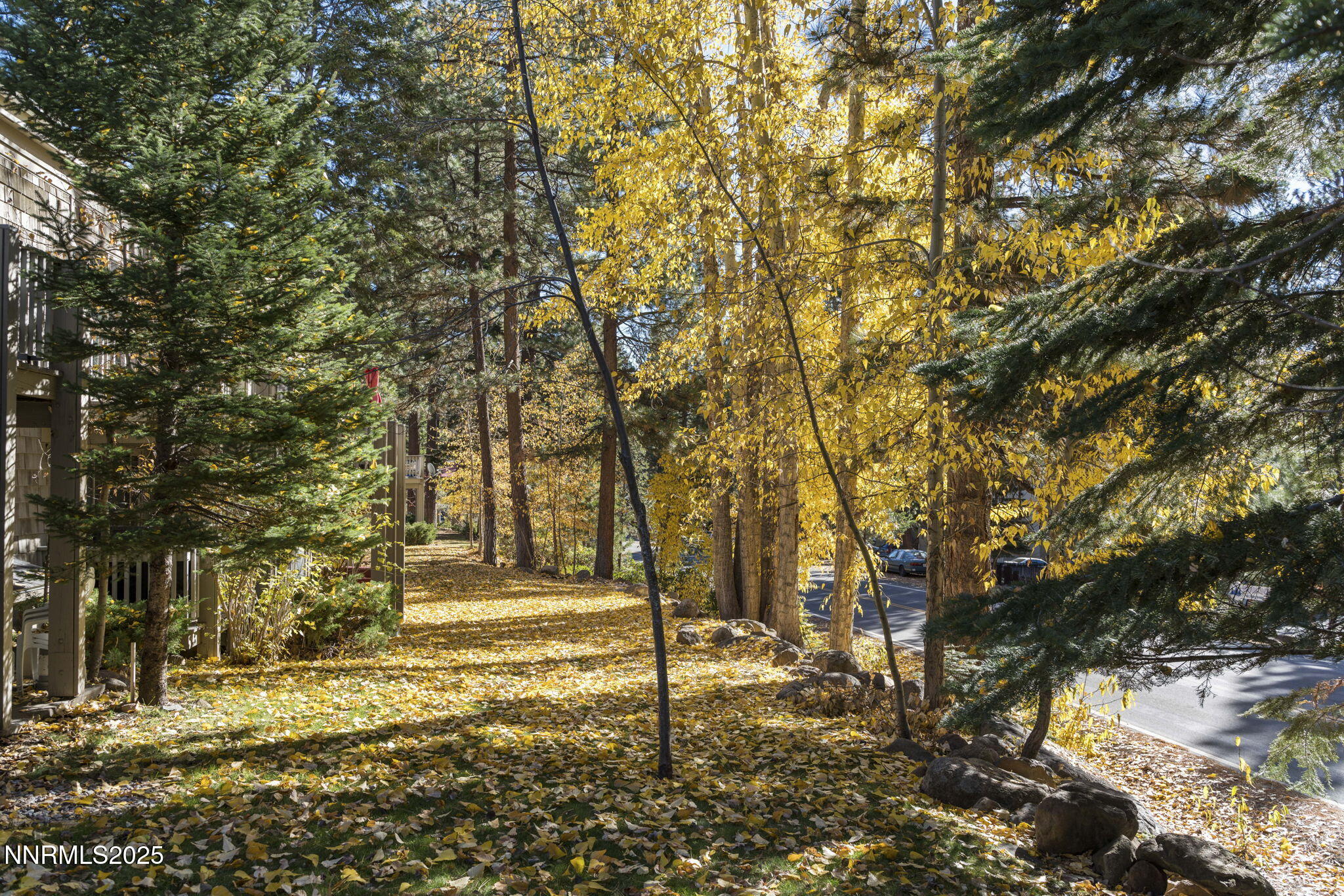 51-web-or-mls-810 Alder Ave Unit 71 Incl