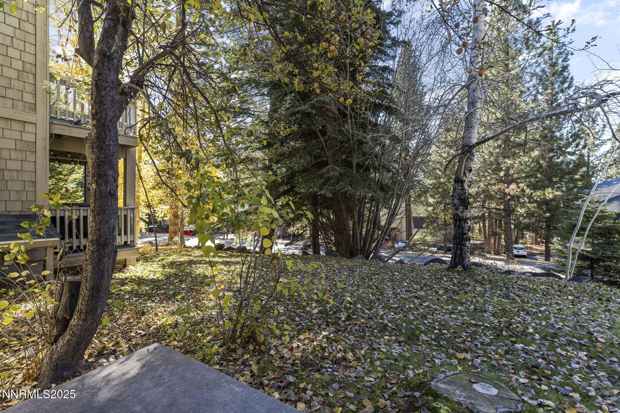 49-web-or-mls-810 Alder Ave Unit 71 Incl