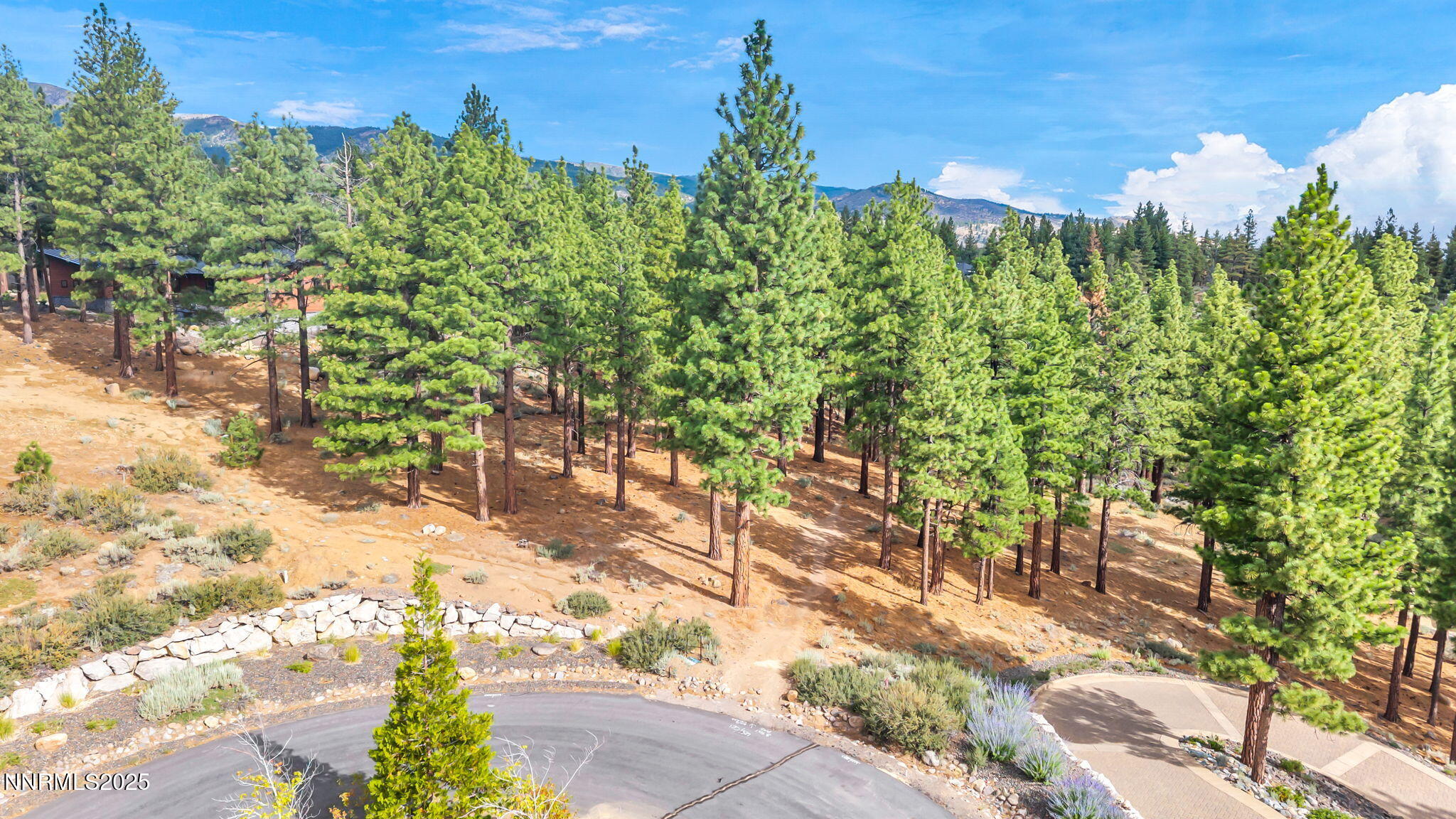 8-web-or-mls-205-timbercreek-ct