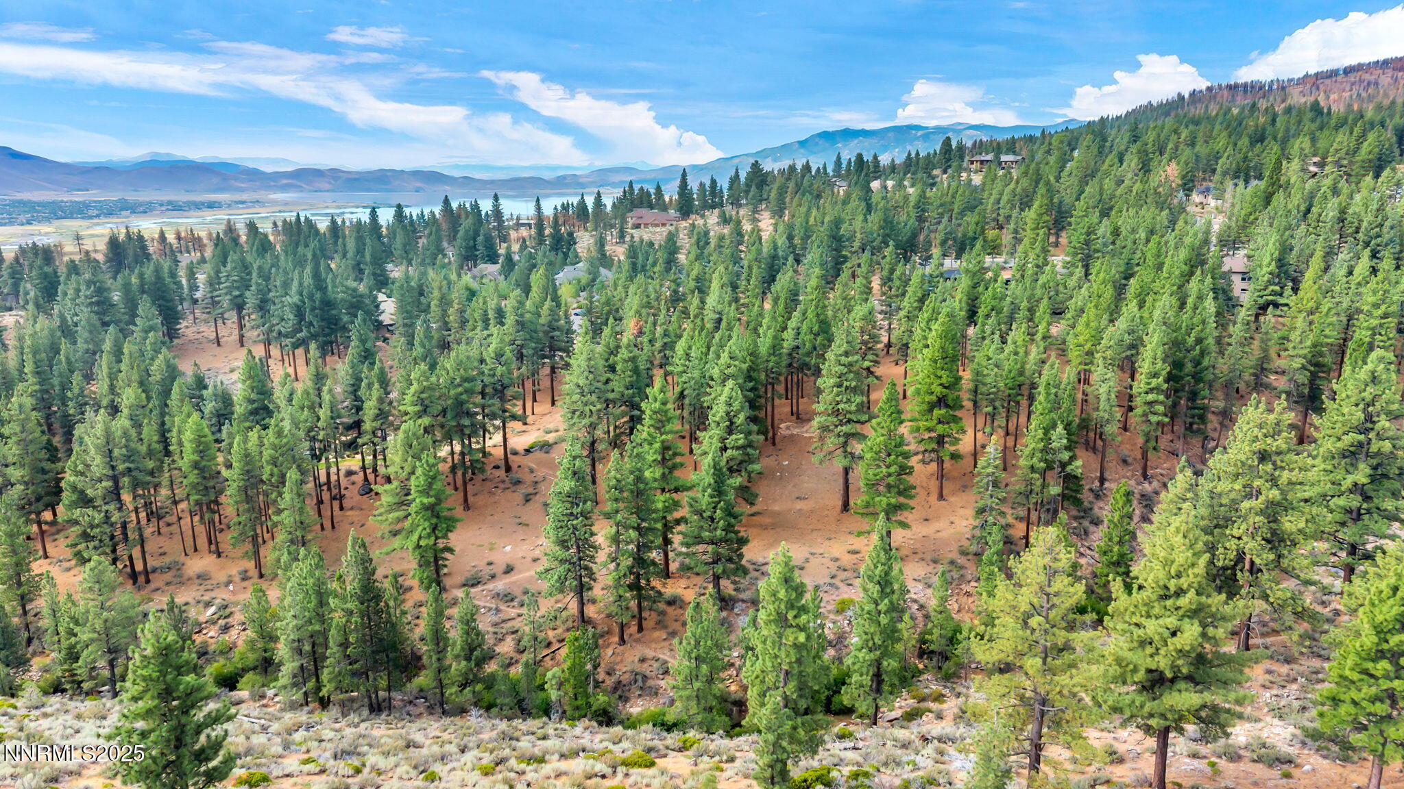 12-web-or-mls-205-timbercreek-ct