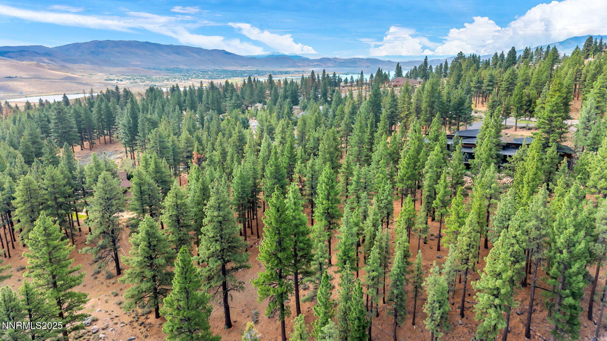 11-web-or-mls-205-timbercreek-ct