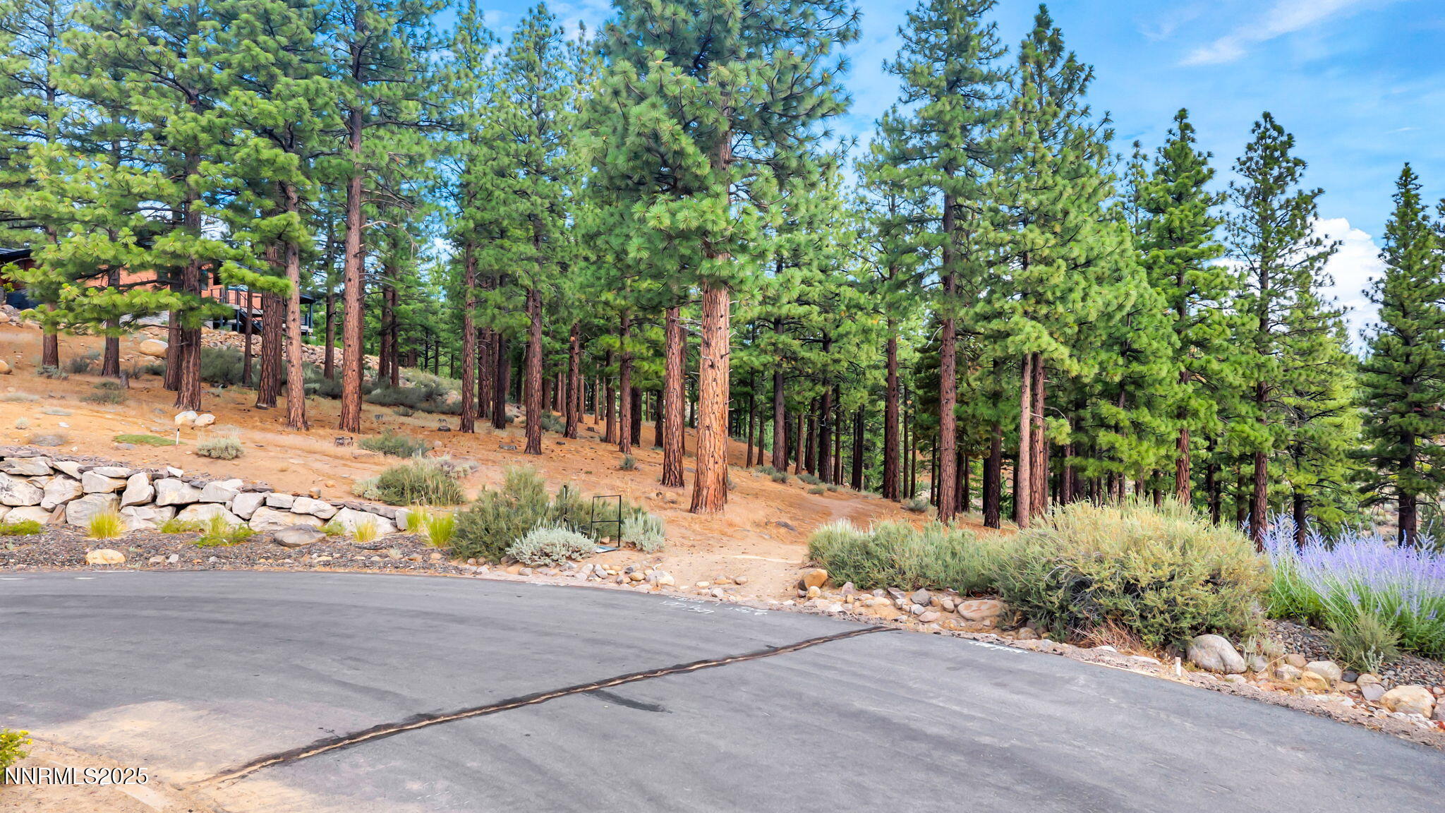 10-web-or-mls-205-timbercreek-ct