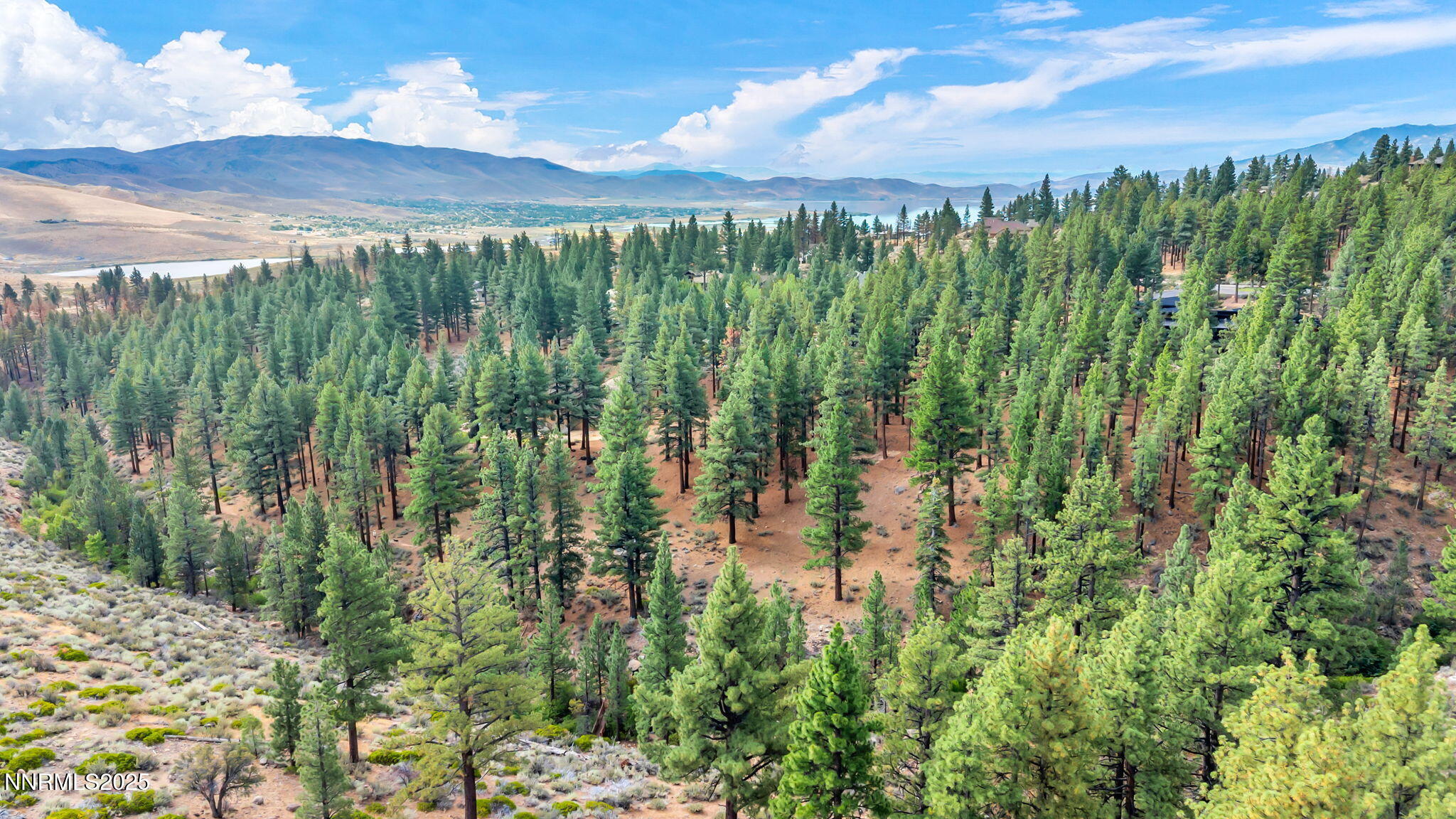 13-web-or-mls-205-timbercreek-ct