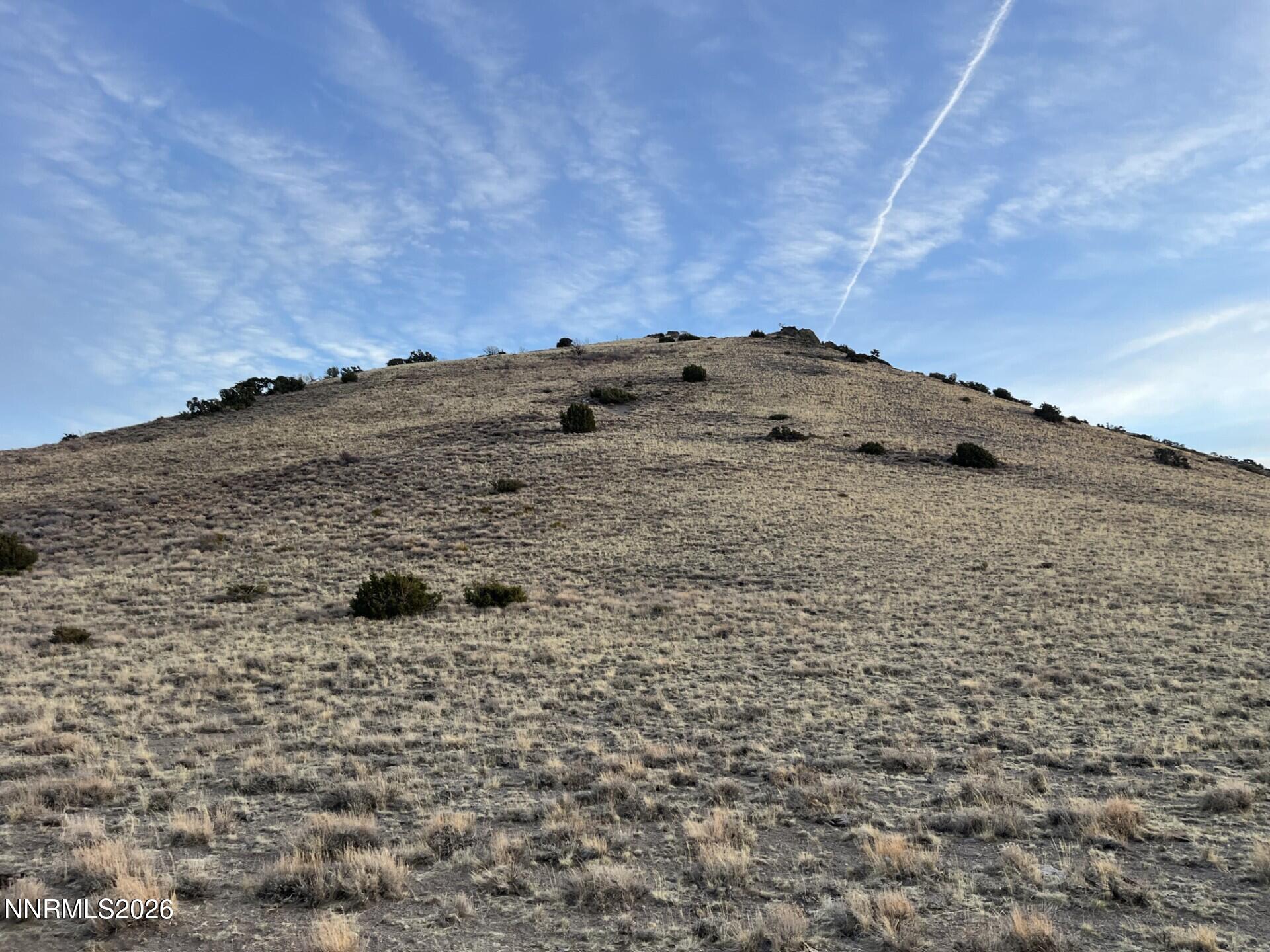 ground pic 2