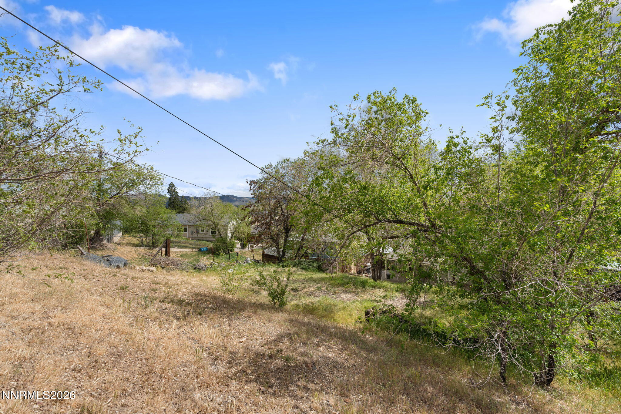 31-web-or-mls-DSC09309