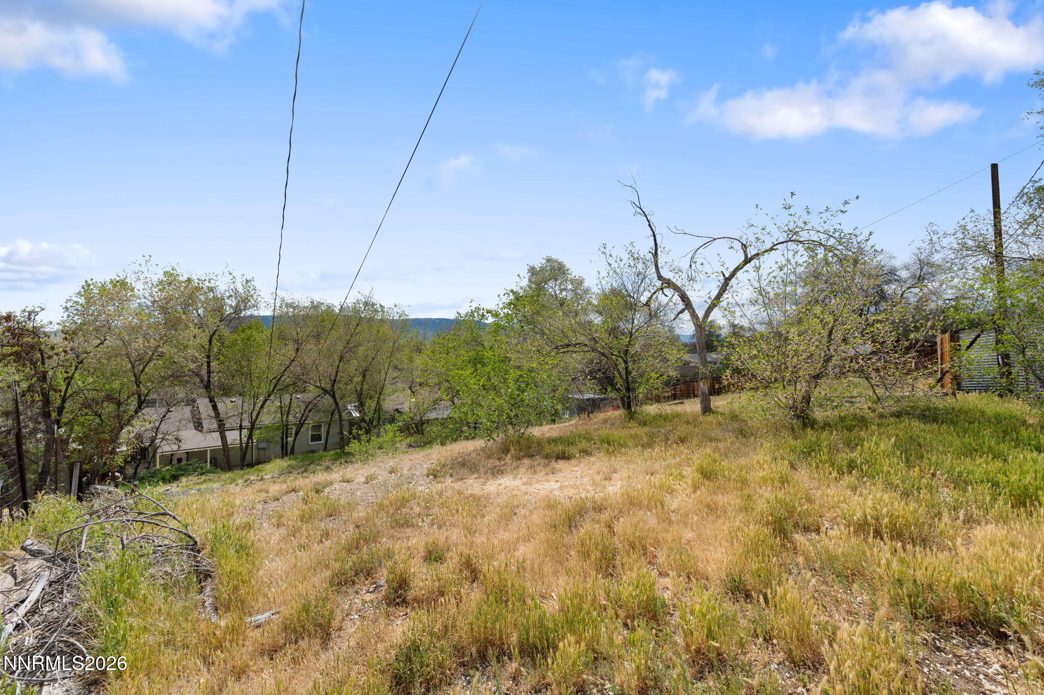 32-web-or-mls-DSC09314