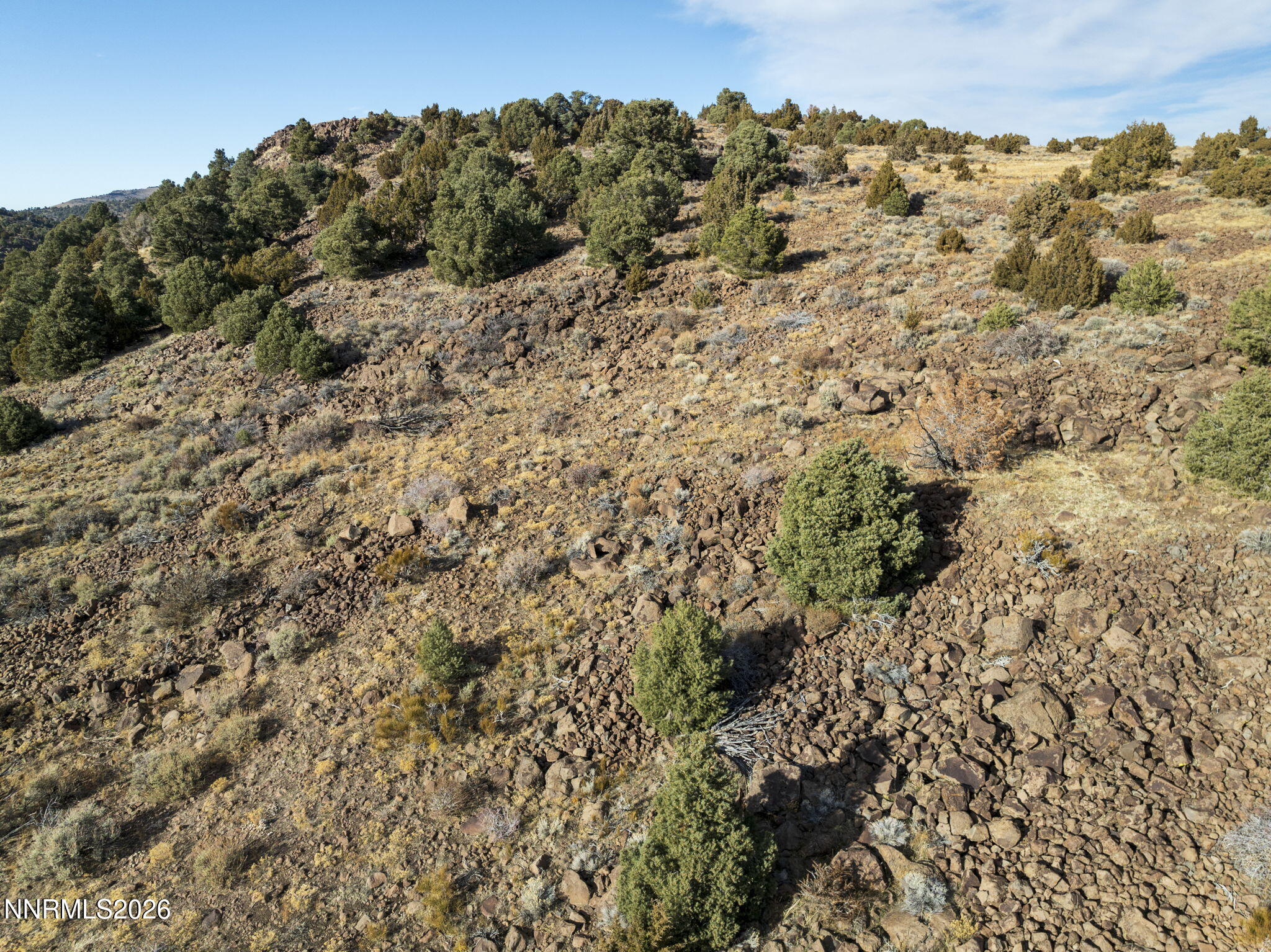 21-web-or-mls-2690 Goldfield Road Reno N