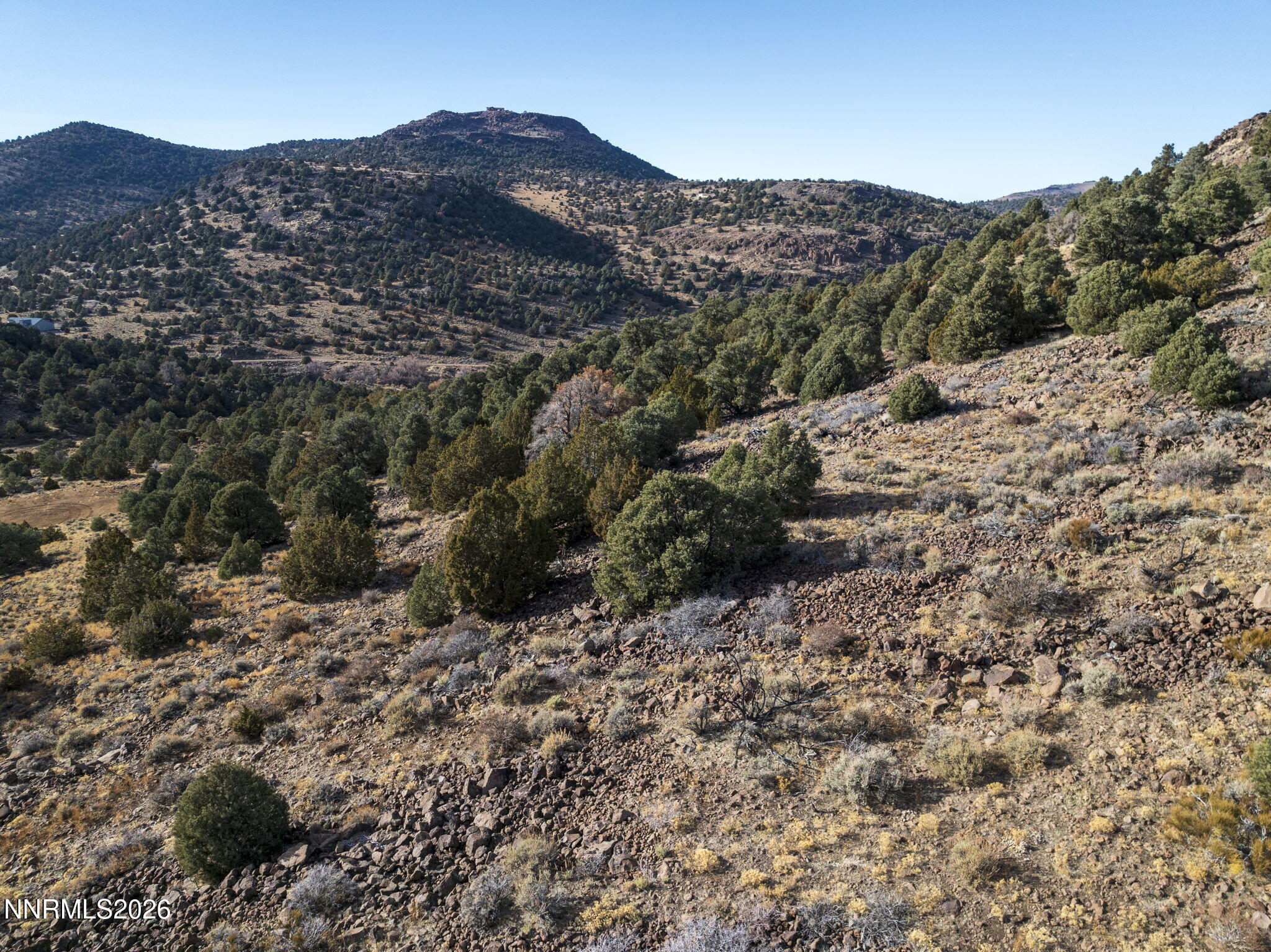 20-web-or-mls-2690 Goldfield Road Reno N