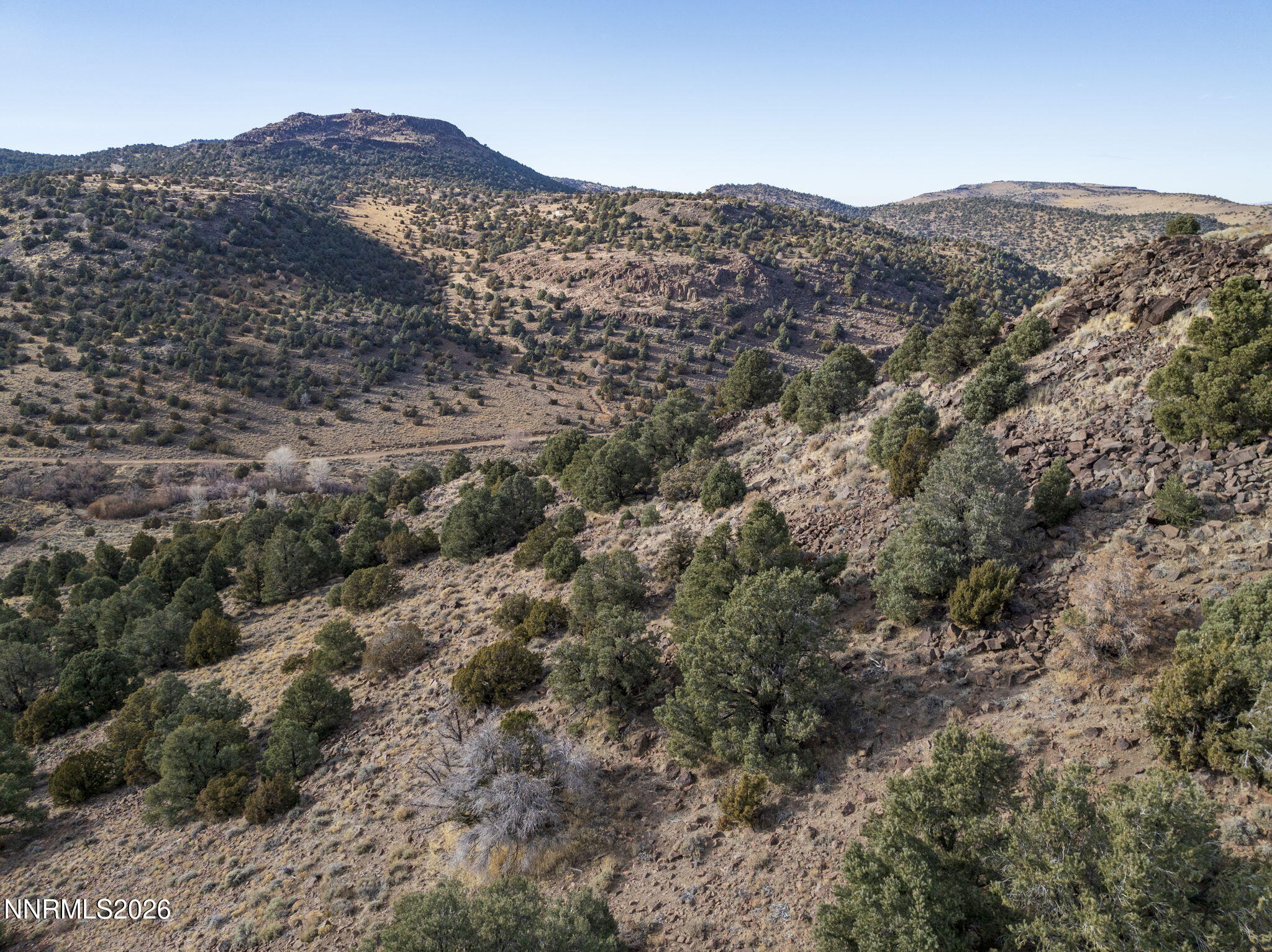 27-web-or-mls-2690 Goldfield Road Reno N