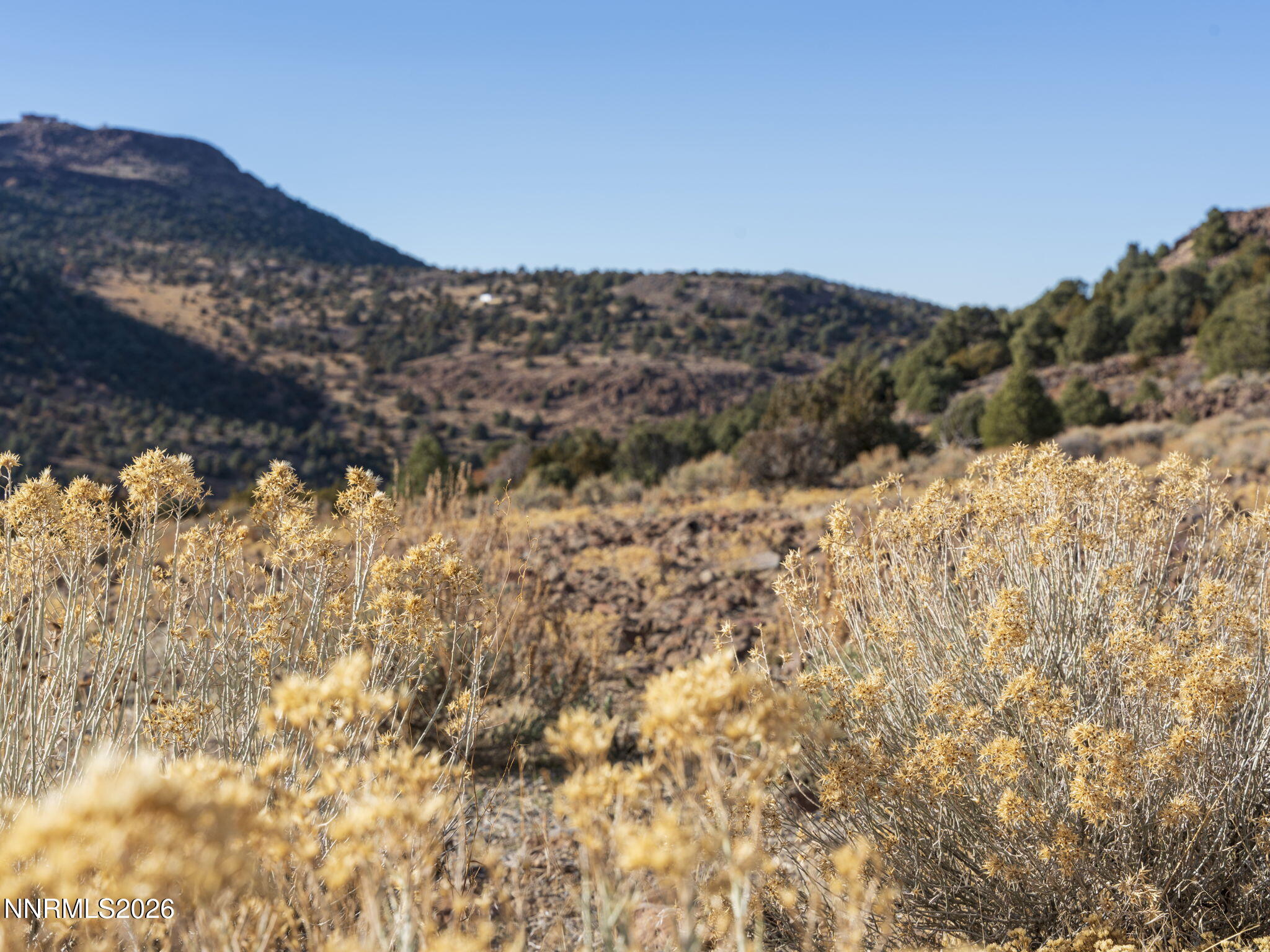 28-web-or-mls-2690 Goldfield Road Reno N