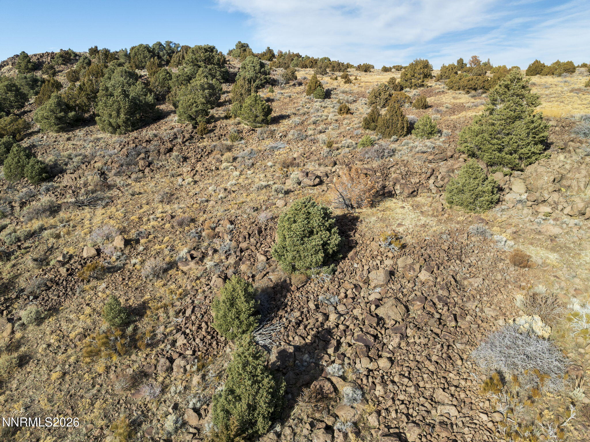 22-web-or-mls-2690 Goldfield Road Reno N