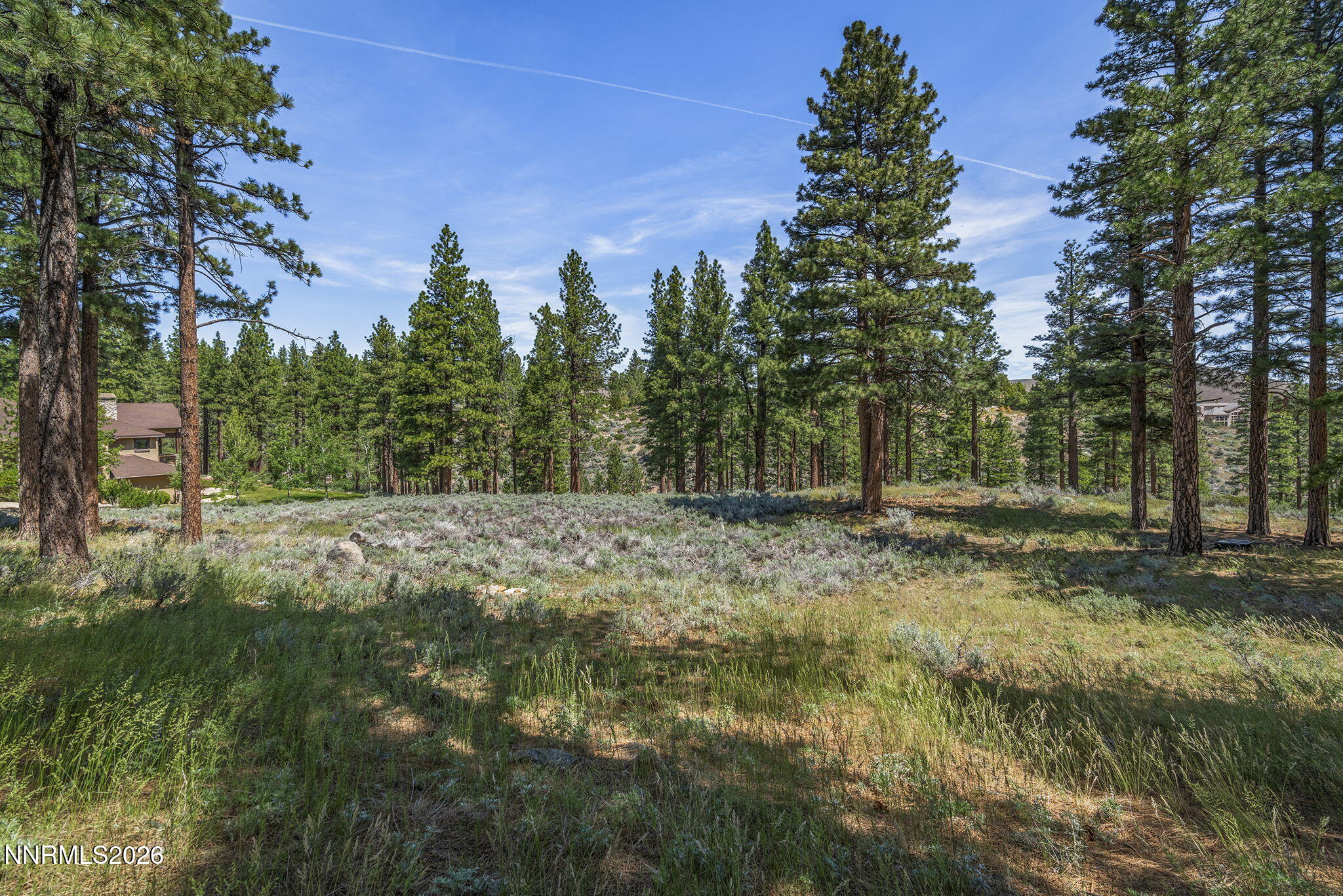 76-web-or-mls-_DSC1223