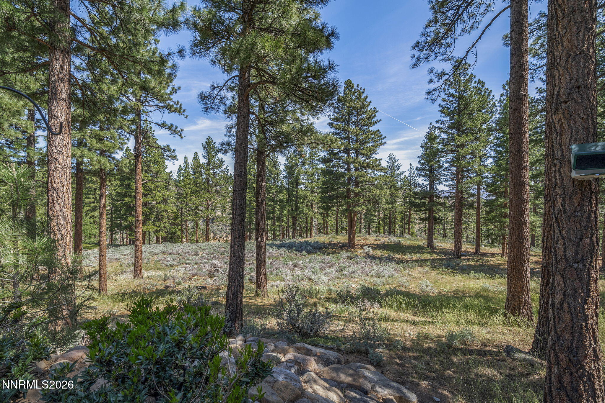 75-web-or-mls-_DSC1203