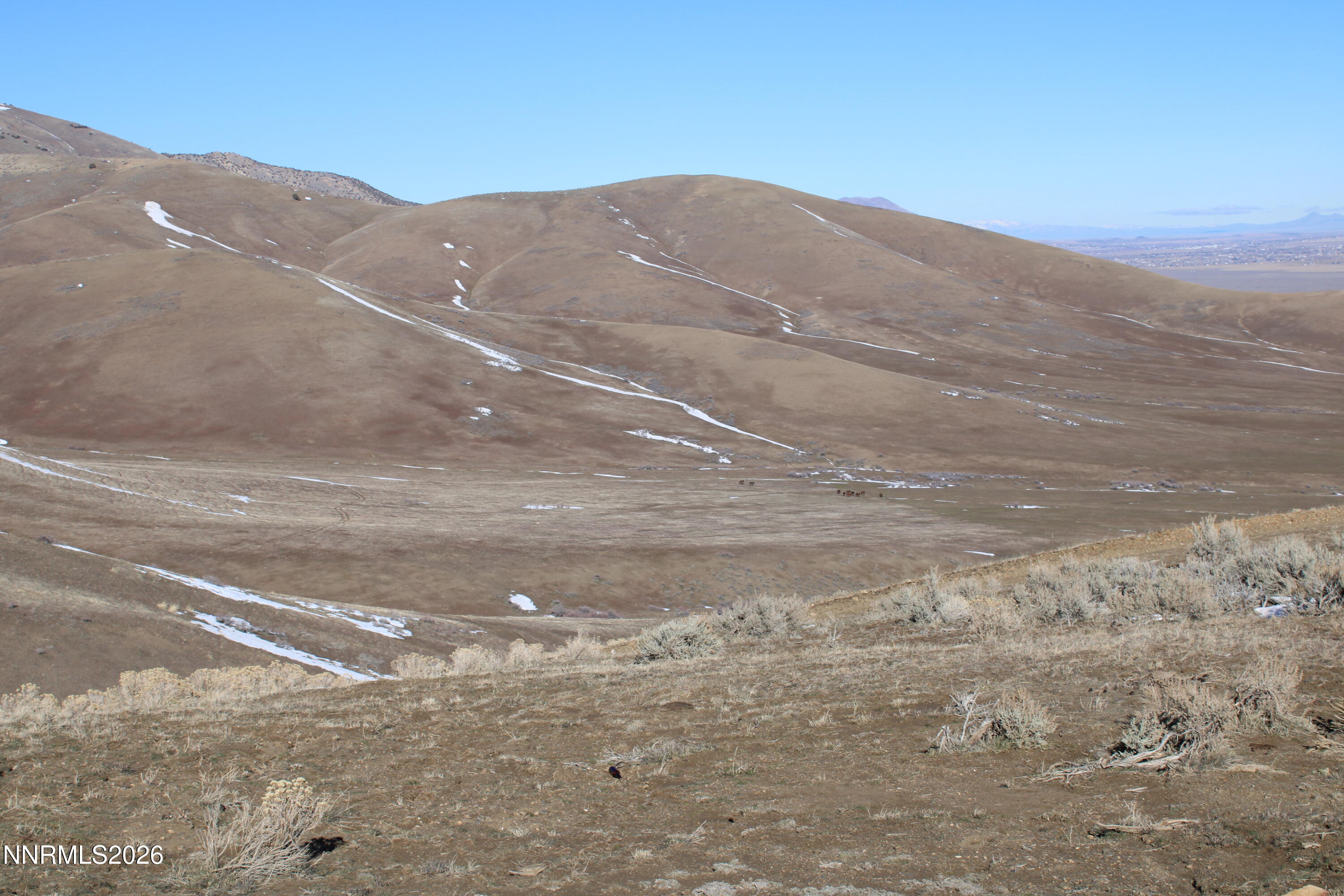 20 Acres Dun Glen Canyon Rd-Barber Canyon Rd