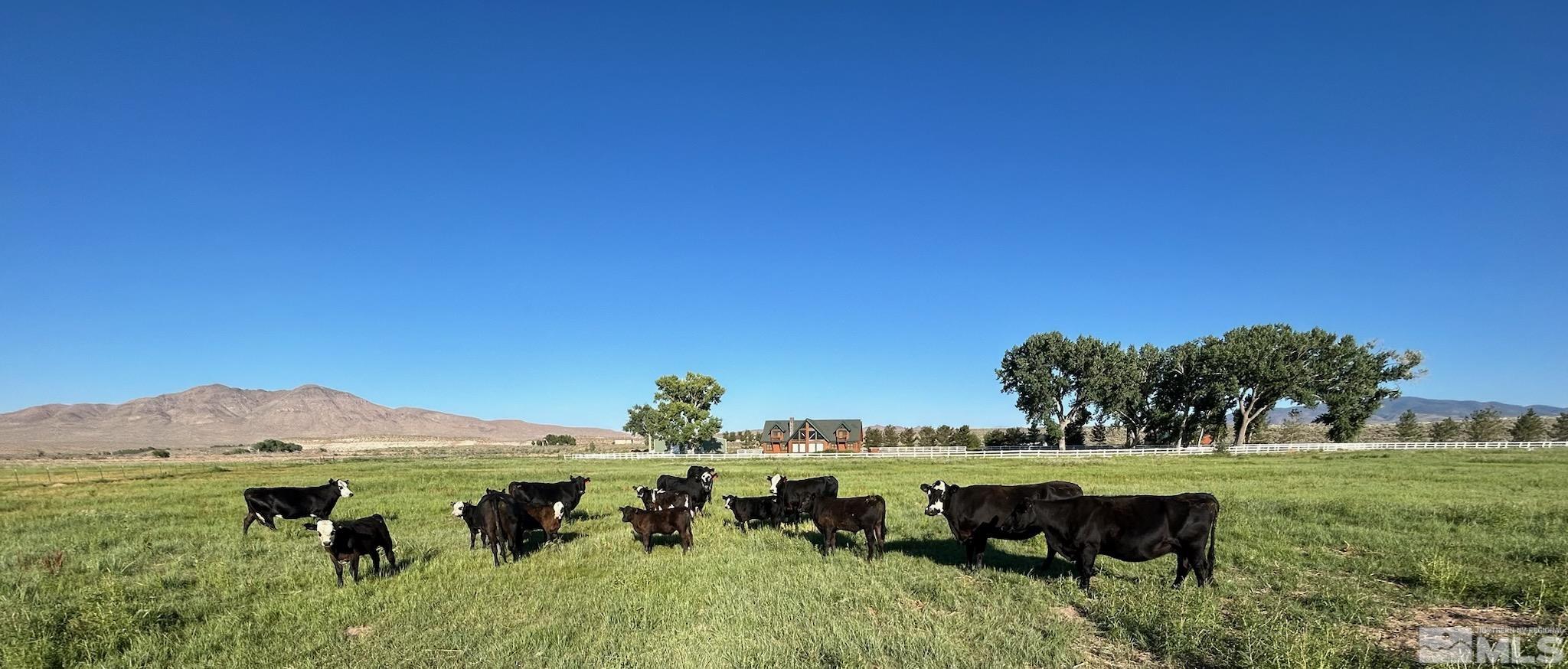 250 Olson Ranch Road