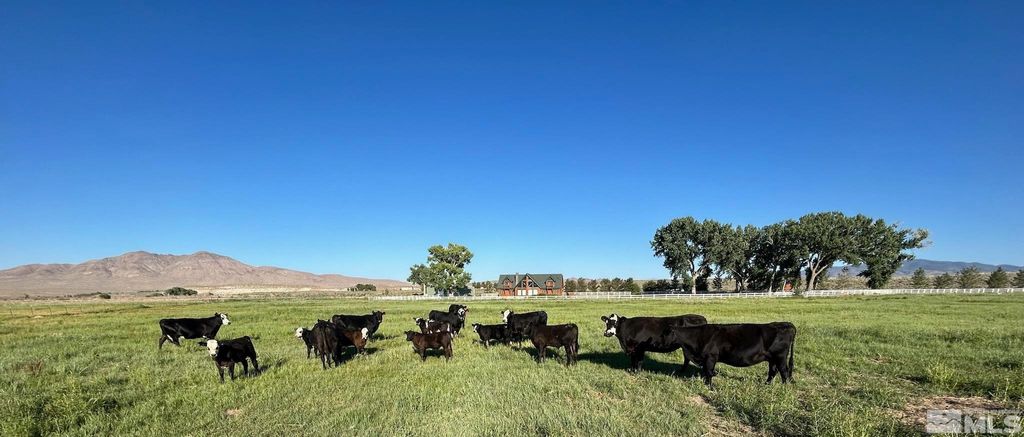 Photo of 250 Olson Ranch Road, Wellington, NV 89430 (MLS # 240005871)