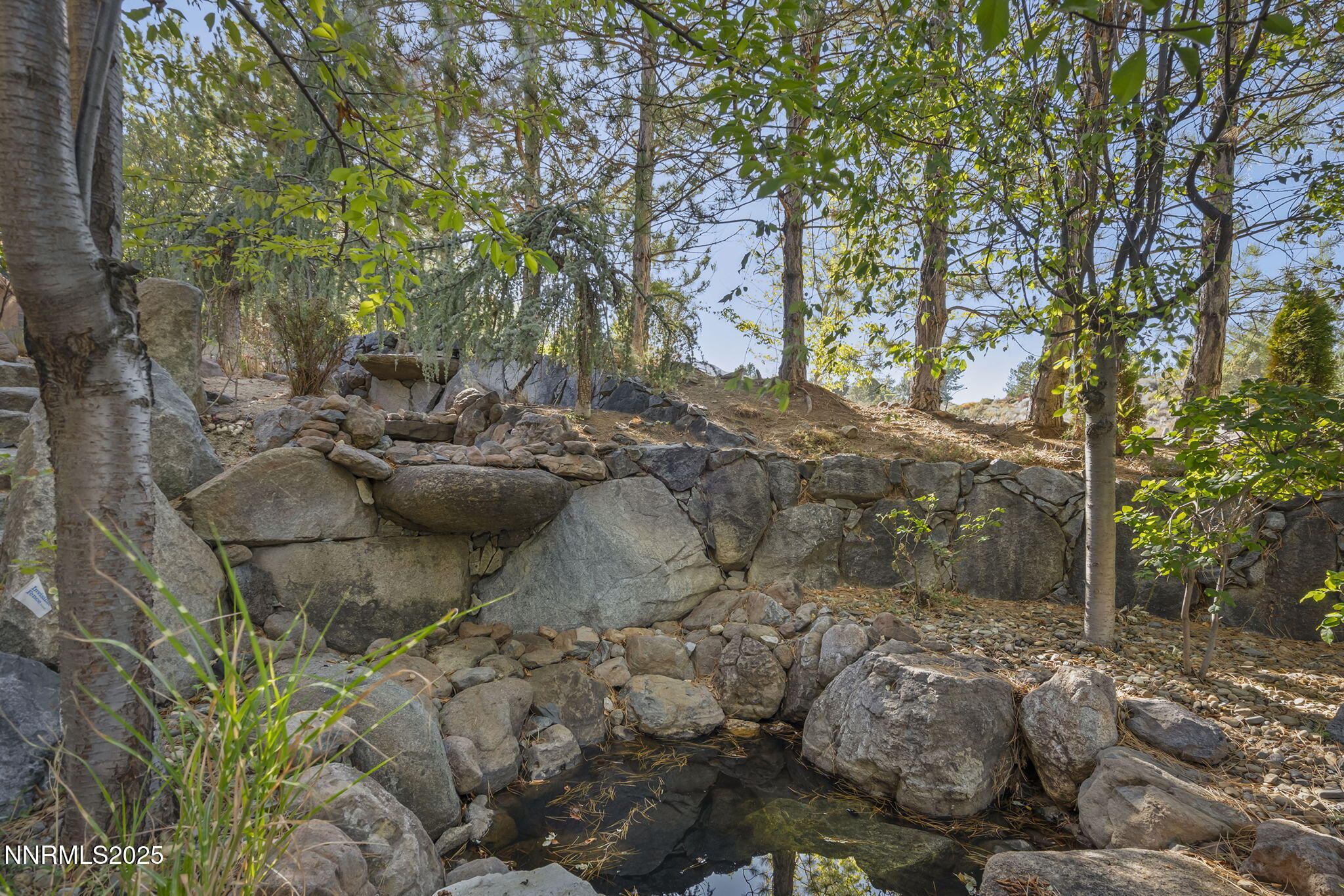 60-web-or-mls-_DSC0363