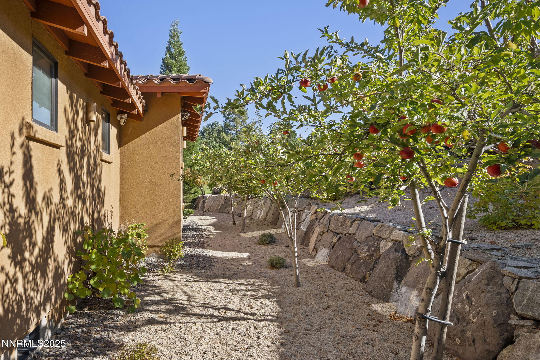 61-web-or-mls-_DSC0373