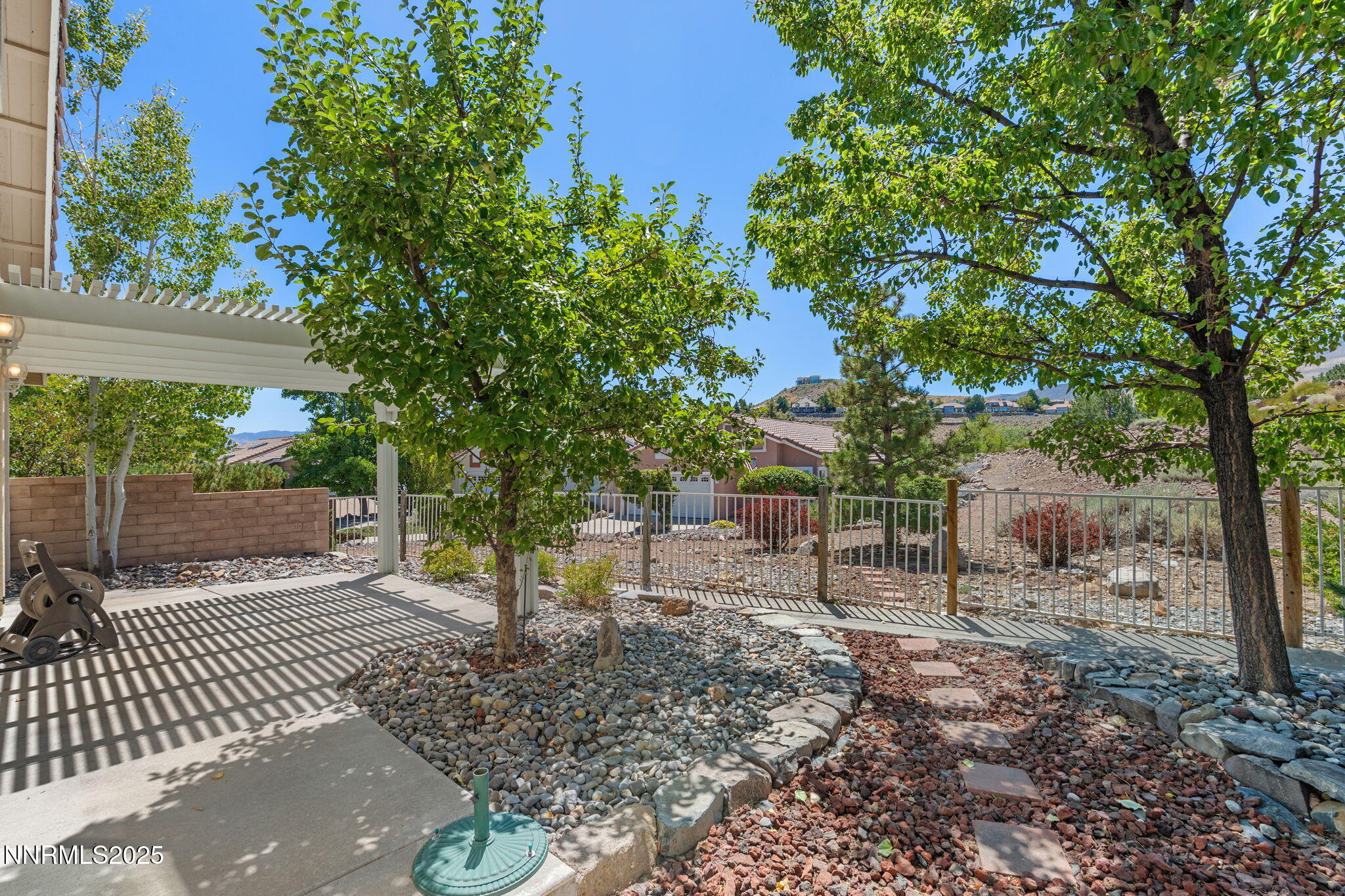 Backyard Shade Trees