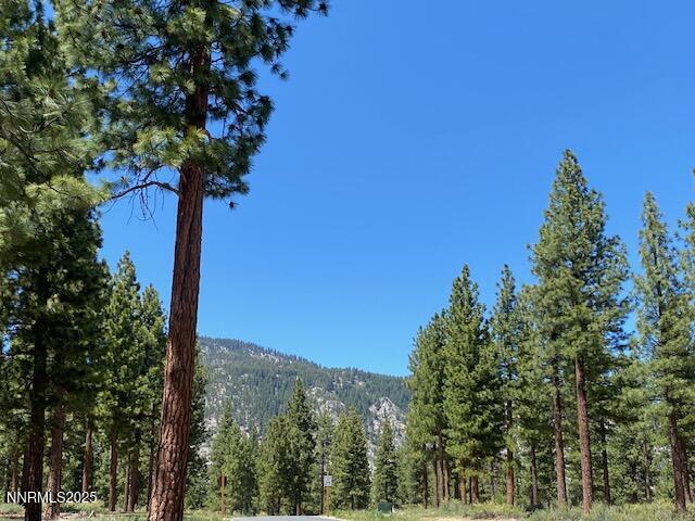 3355 Golf Club Drive 97