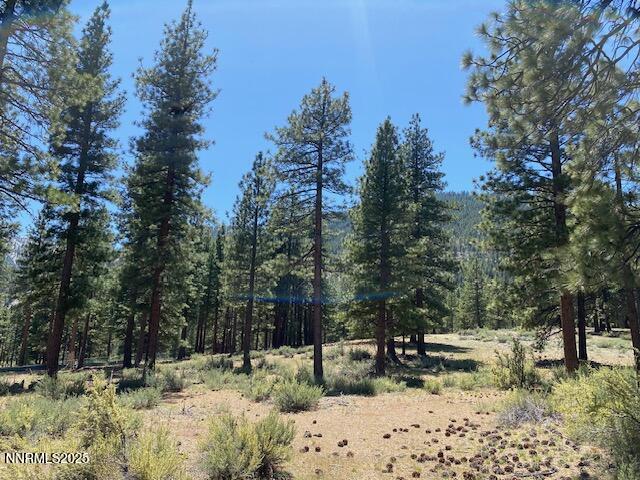 3355 Golf Club Drive 97