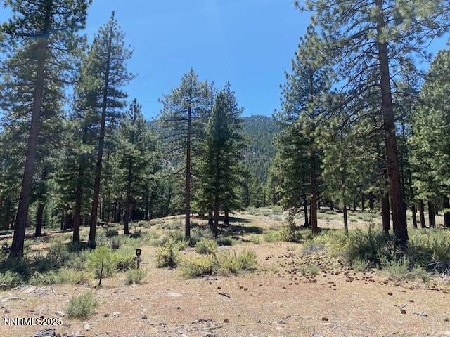 3355 Golf Club Drive 97