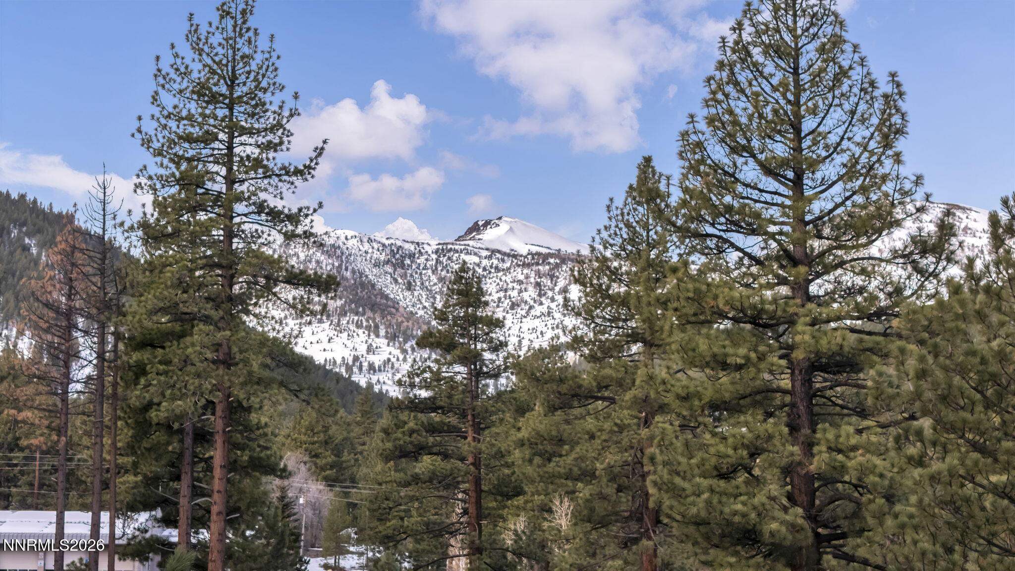 19-web-or-mls-307-e-jeffrey-and-1205-dou