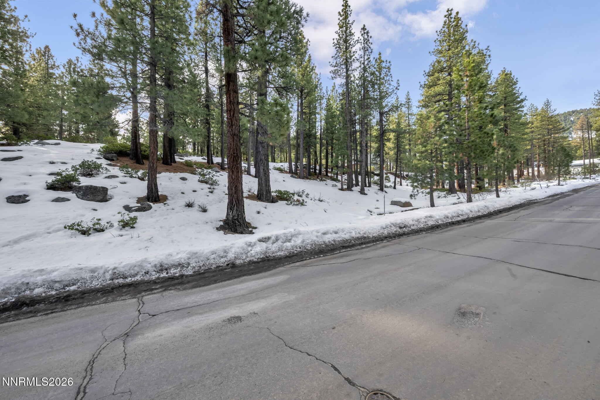 20-web-or-mls-307-e-jeffrey-and-1205-dou