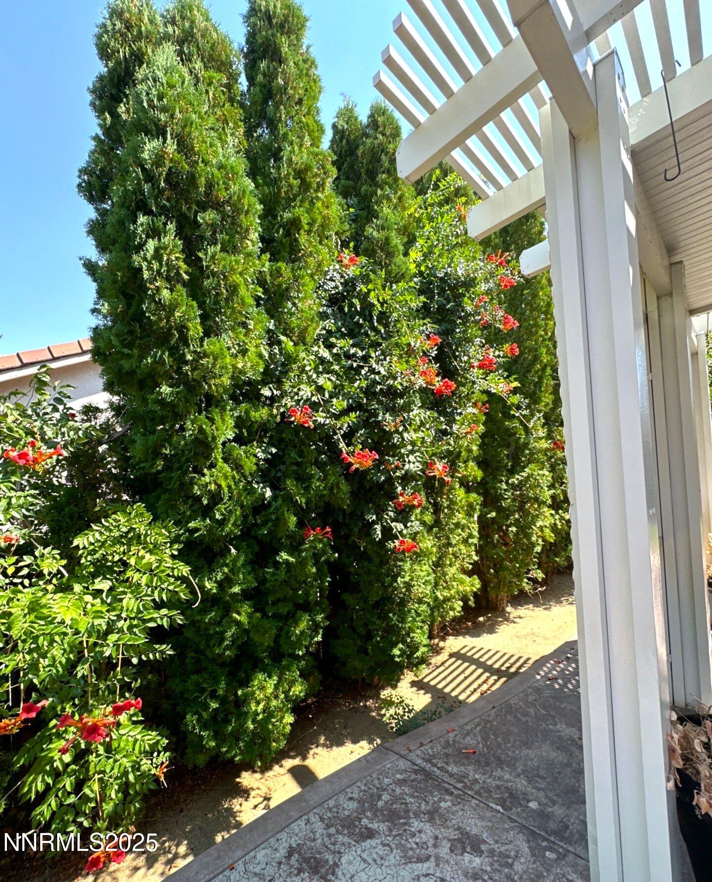 down-net_http20250905-126-hdogoo