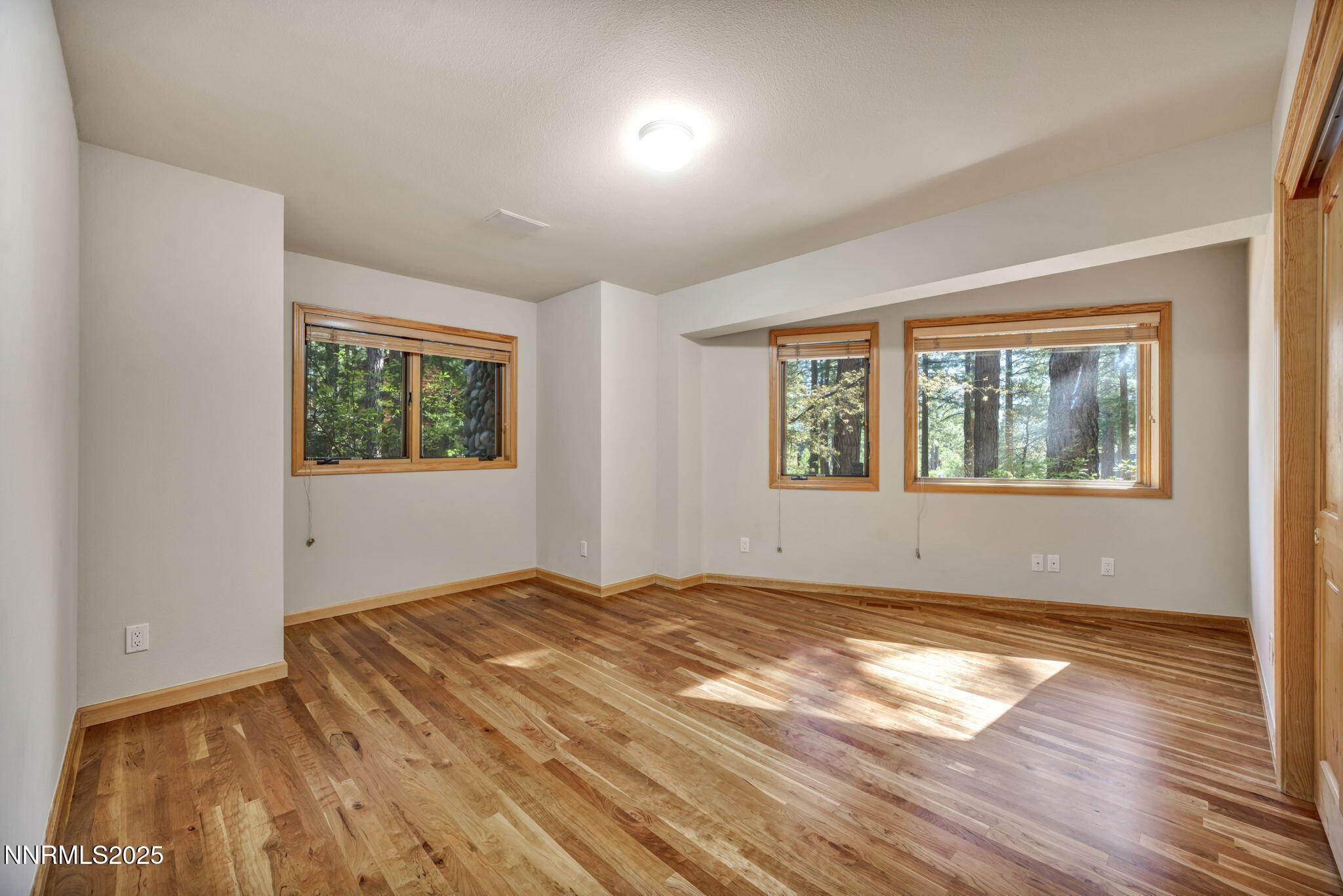 255-web-or-mls-1445-austrian-pine-rd