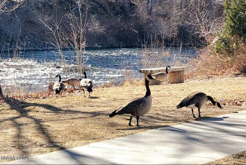 Screenshot 2025-12-18 12.51.49 PM