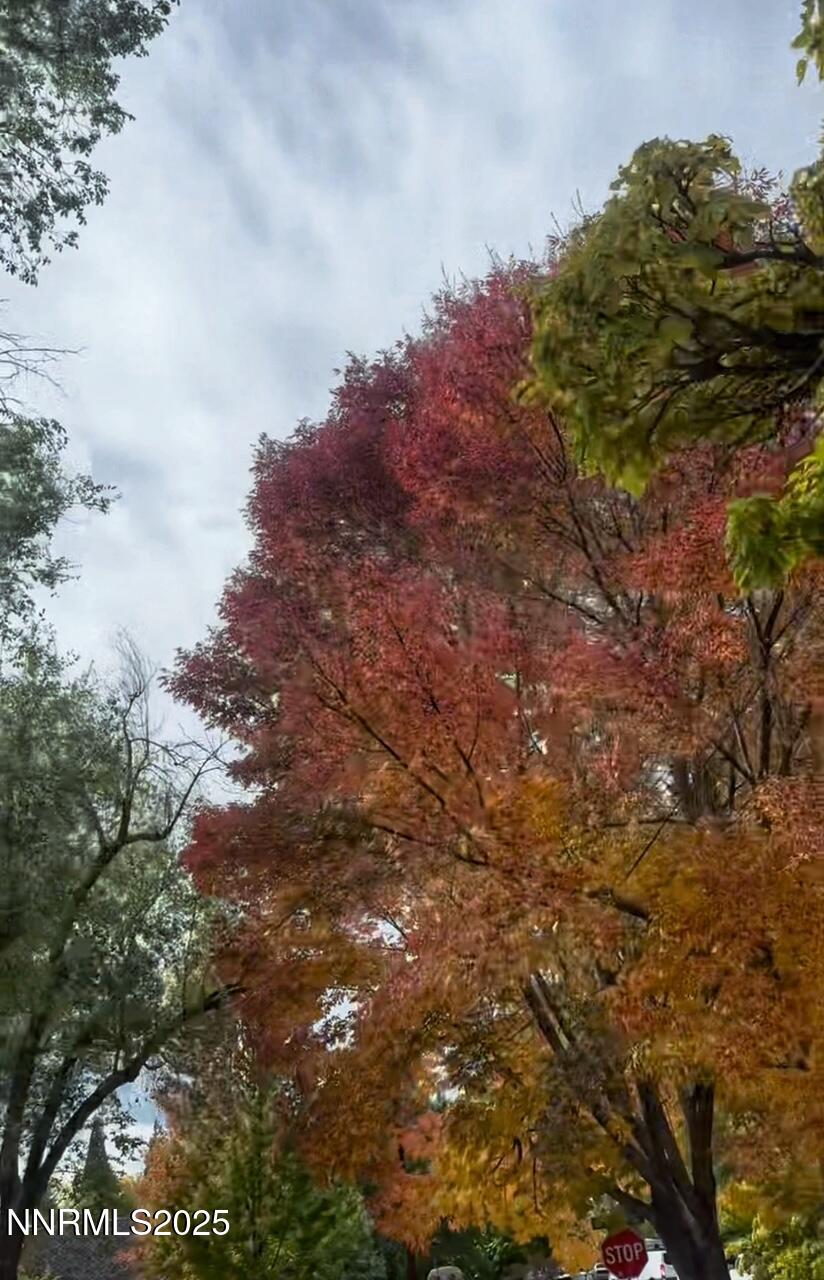 IMG_4776_SnapseedCopy