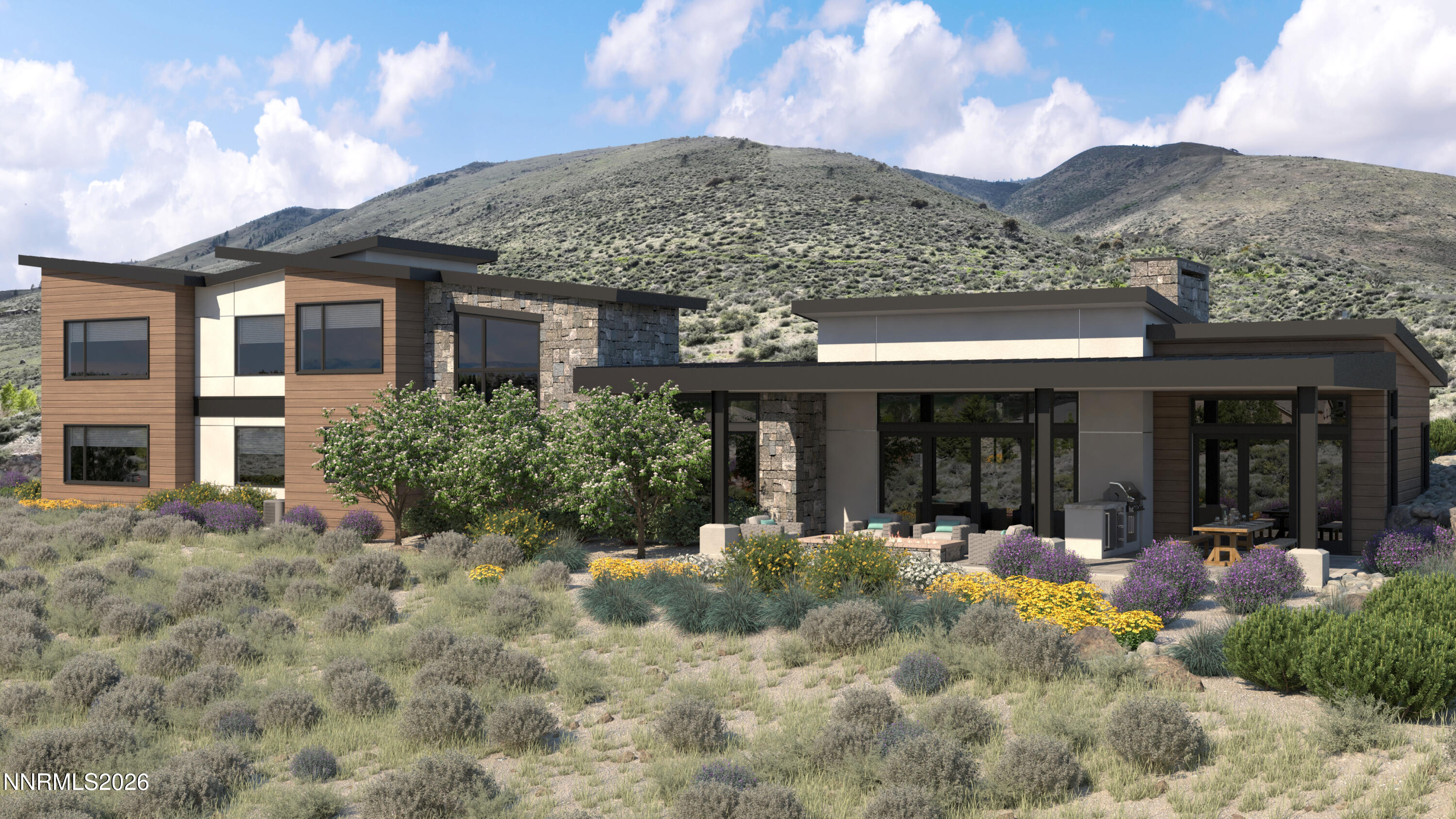 RABBIT BRUSH CT 6-27-25_VIEW 4