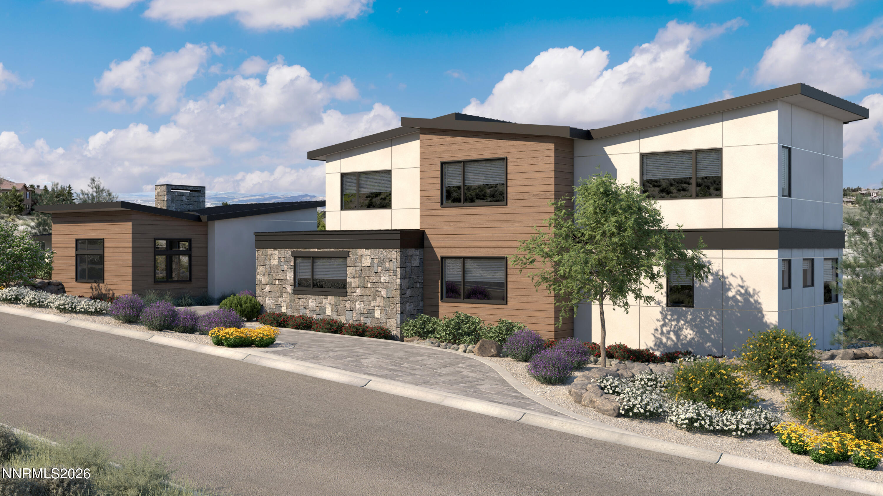 RABBIT BRUSH CT 6-27-25_VIEW 1