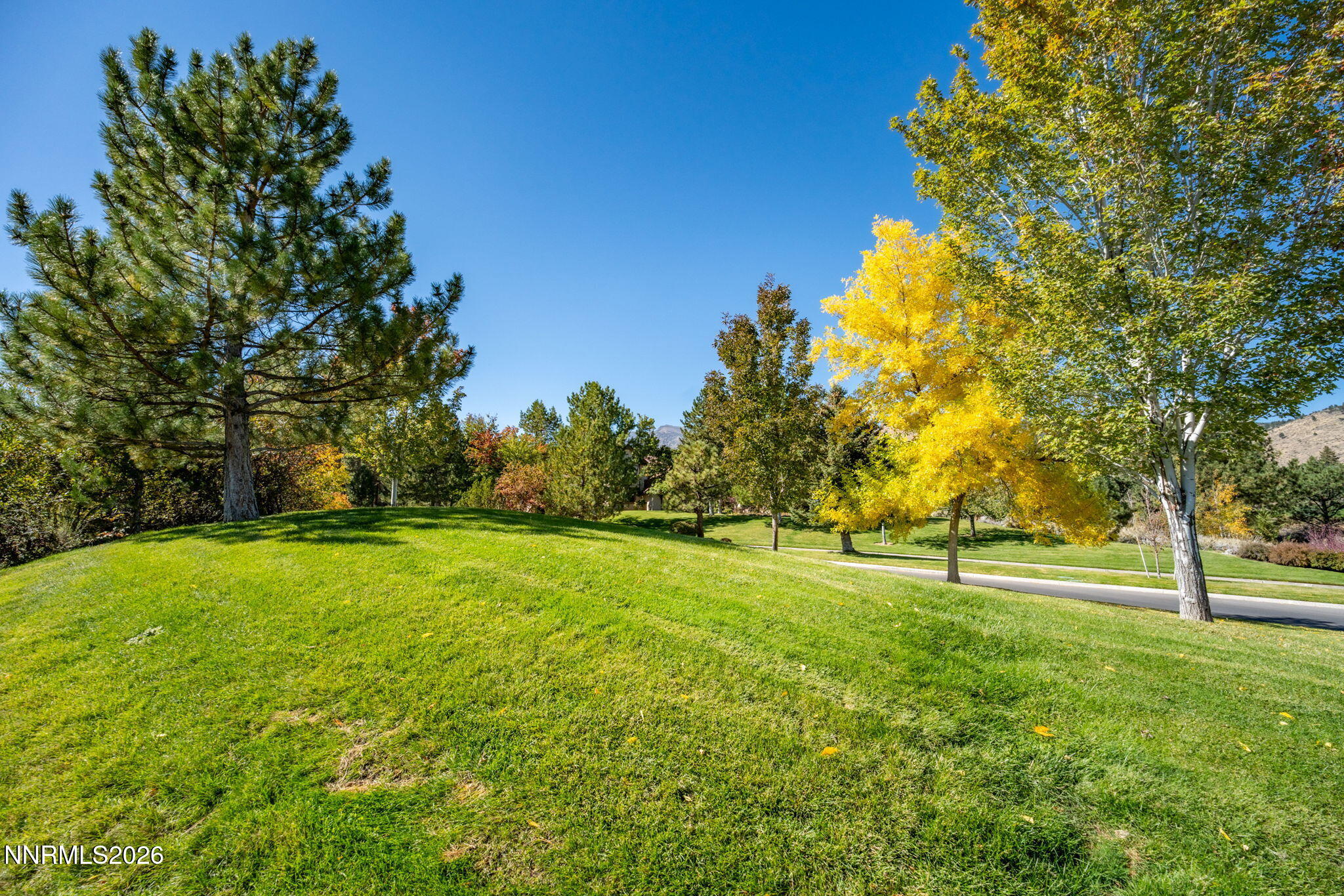 27-web-or-mls-5685 Alpinista-6