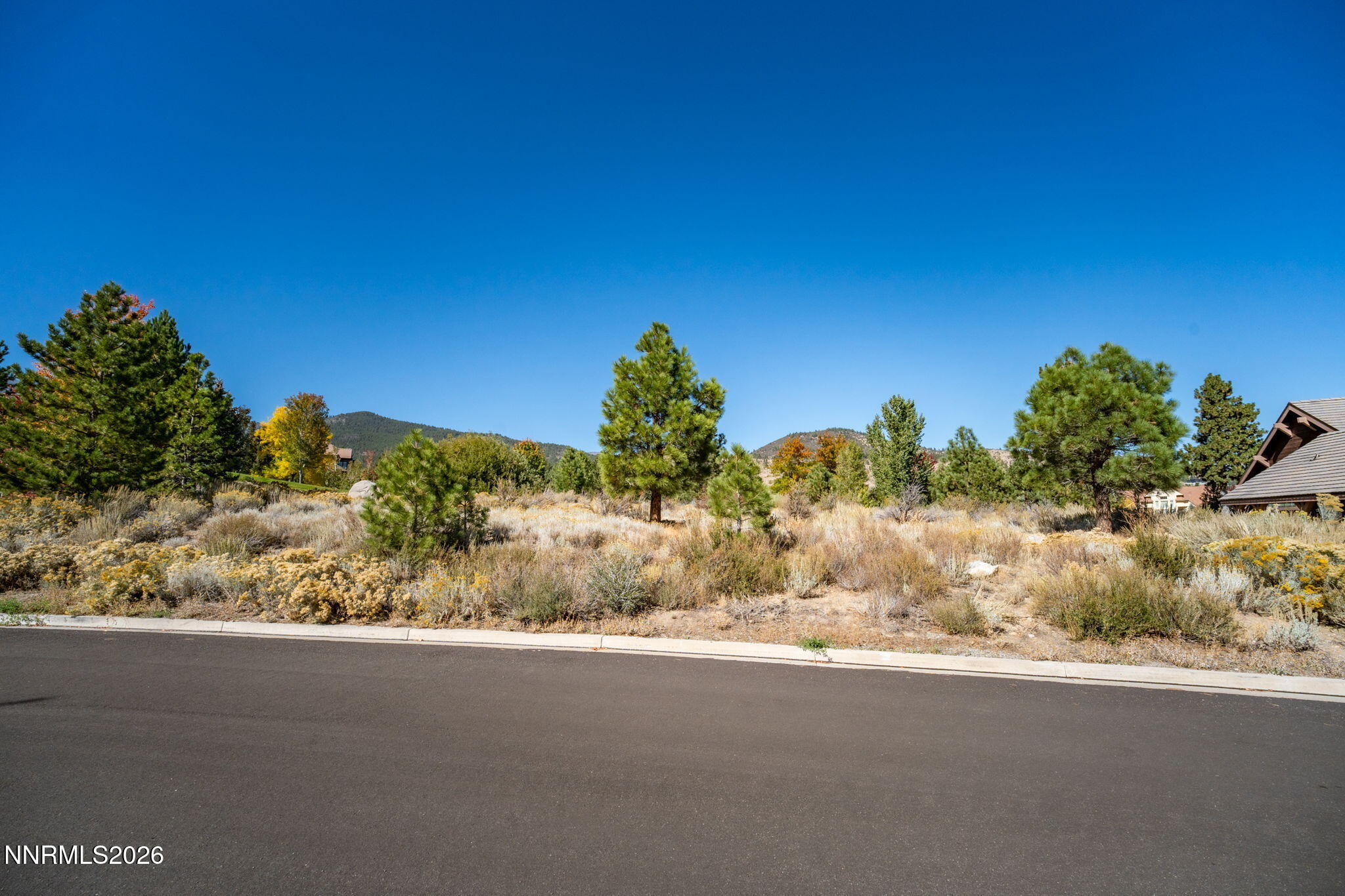 32-web-or-mls-5685 Alpinista-11
