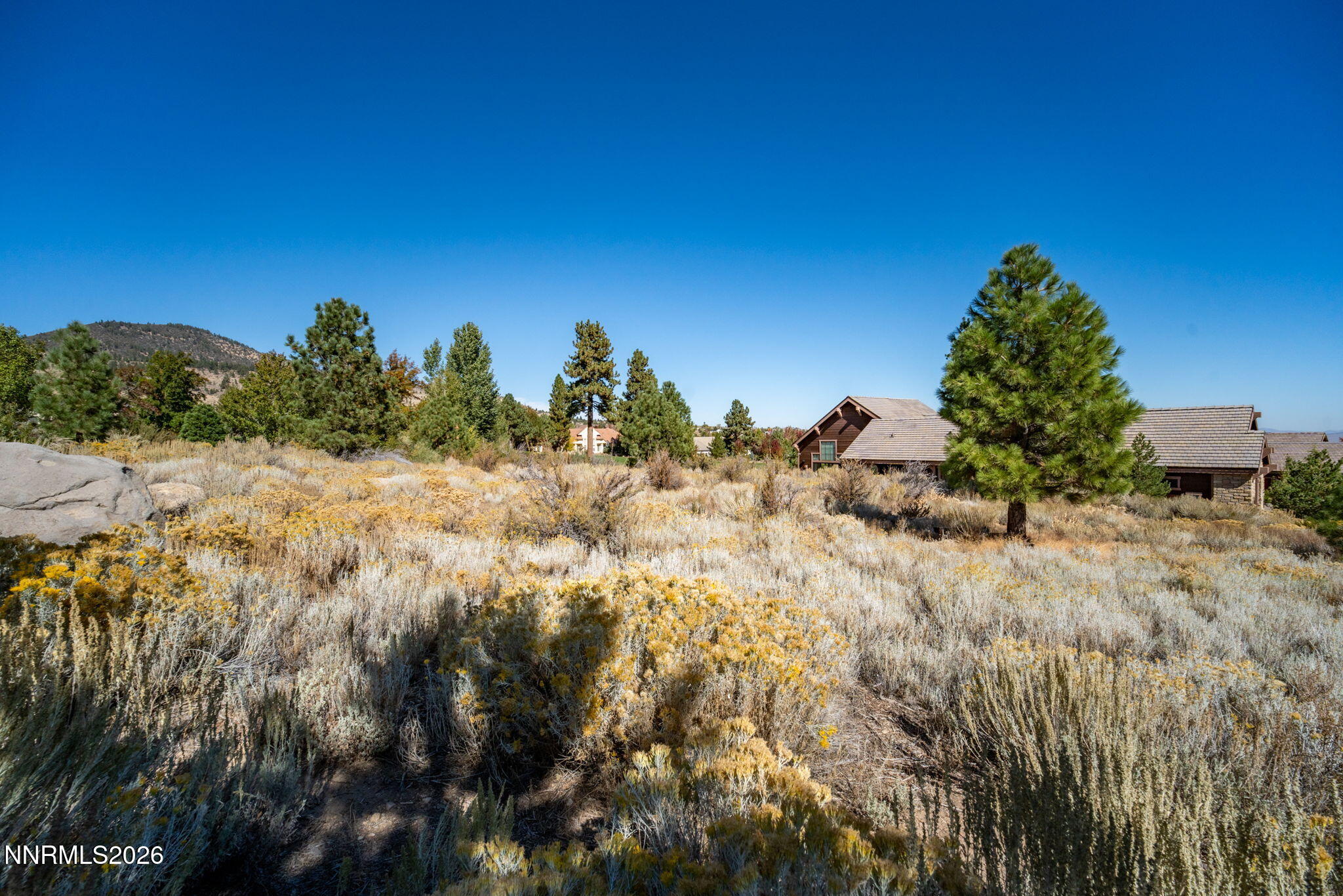 23-web-or-mls-5685 Alpinista-2
