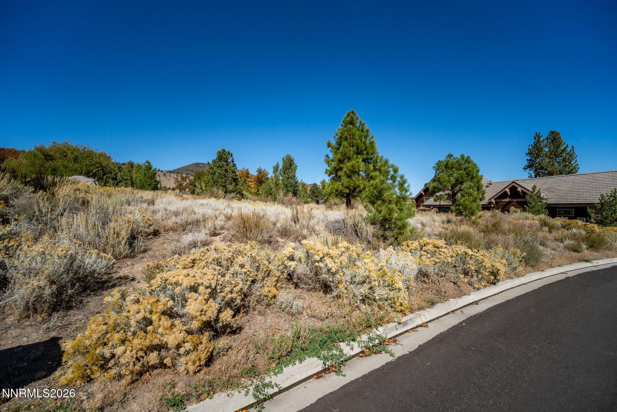 34-web-or-mls-5685 Alpinista