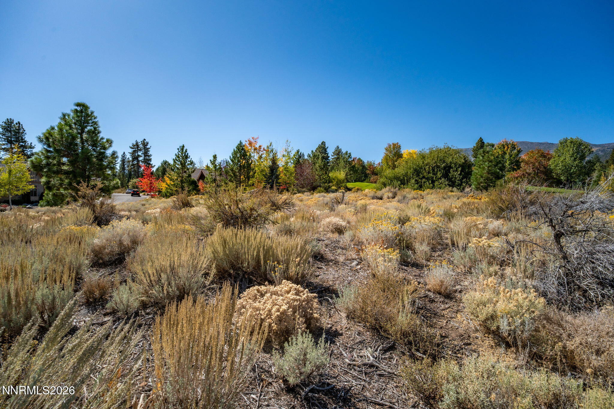 29-web-or-mls-5685 Alpinista-8