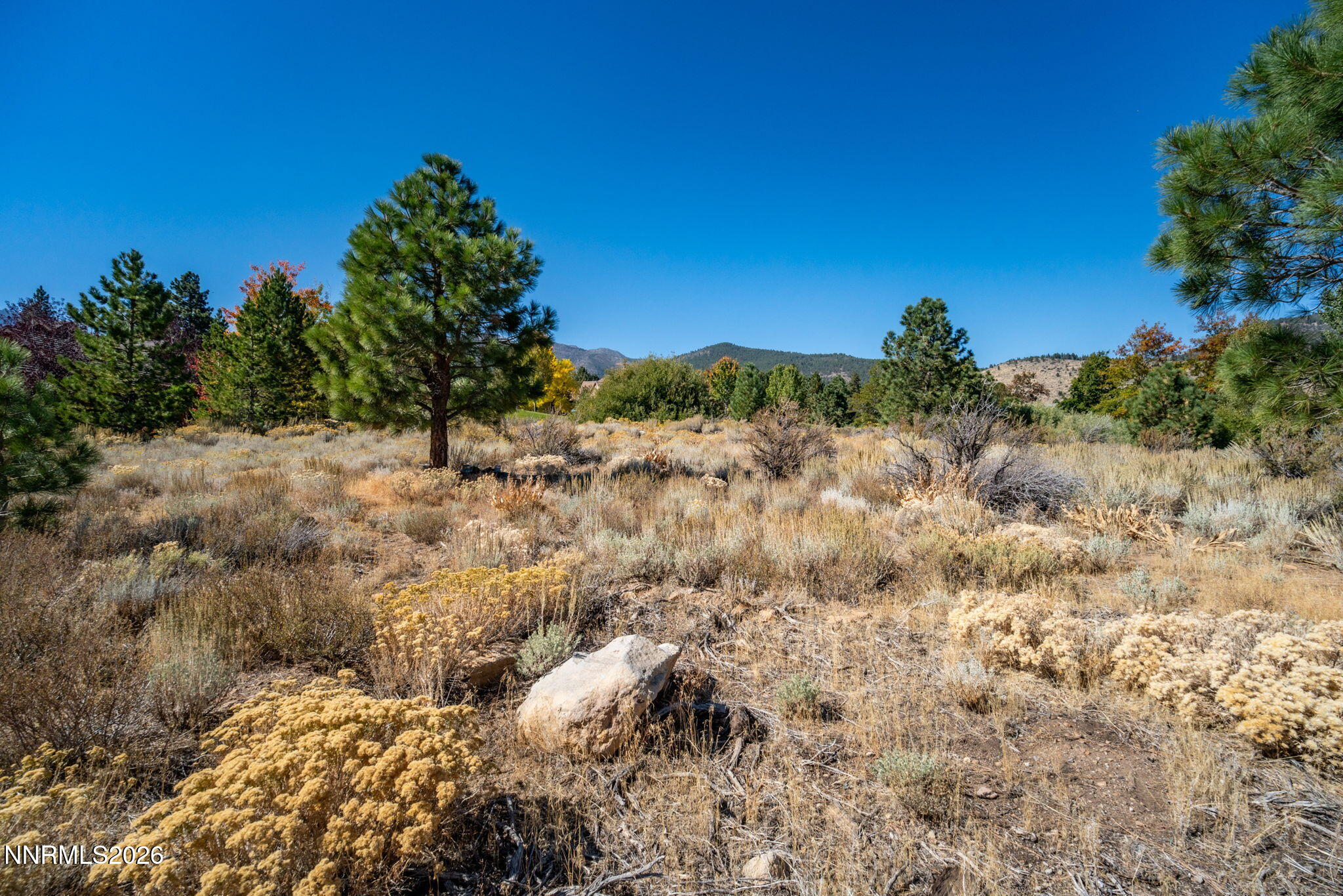 30-web-or-mls-5685 Alpinista-9