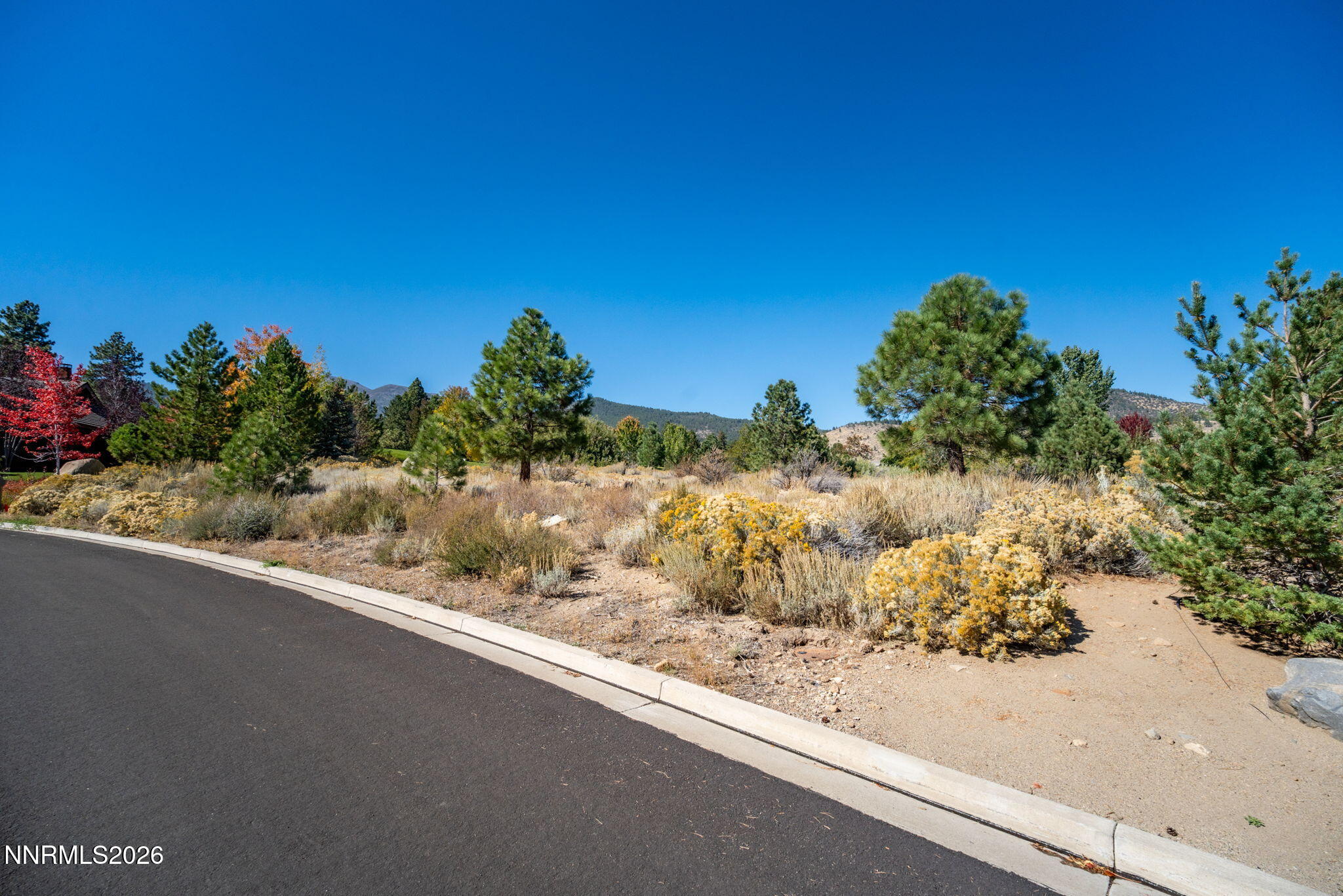 33-web-or-mls-5685 Alpinista-12