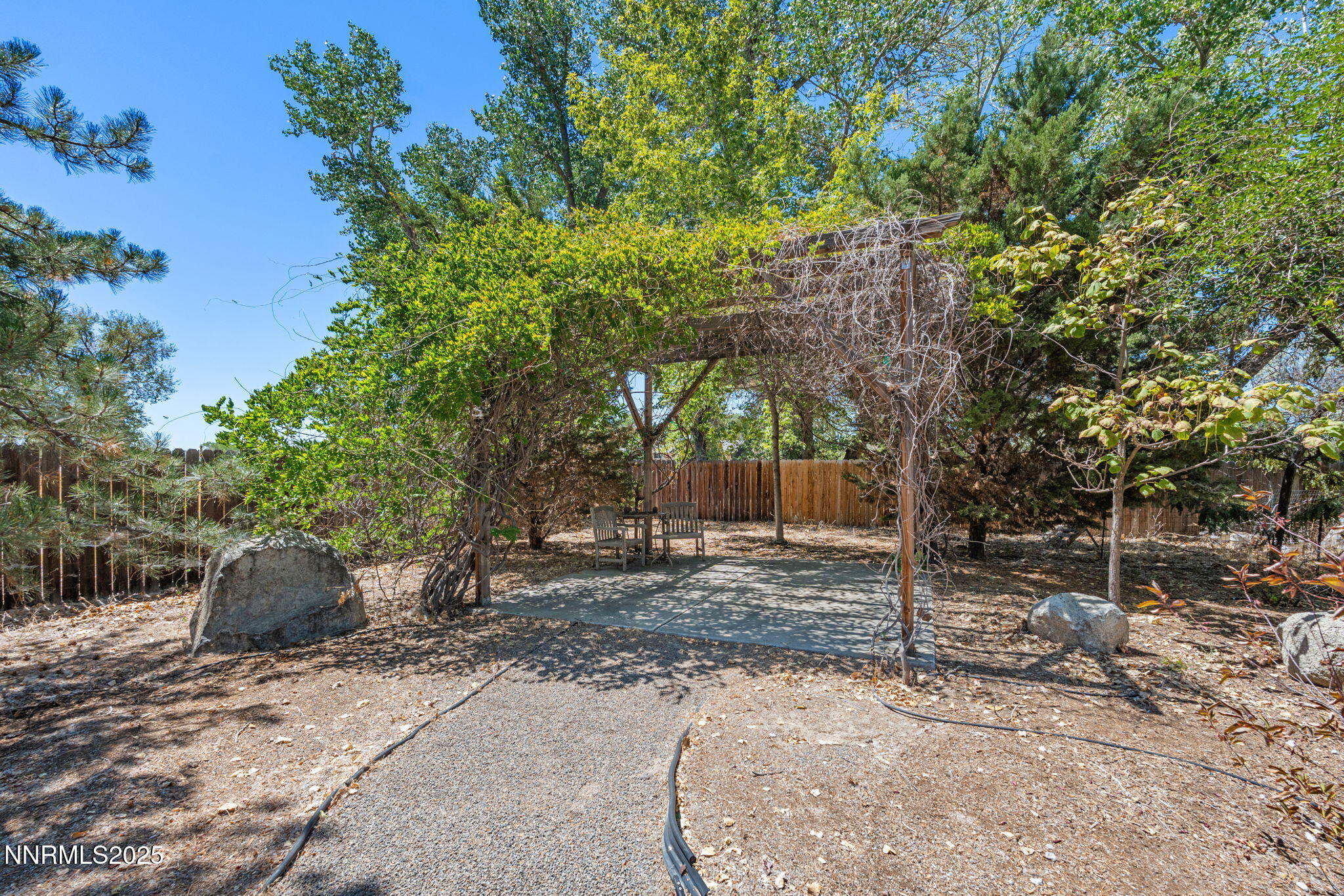 49-web-or-mls-DSC02104