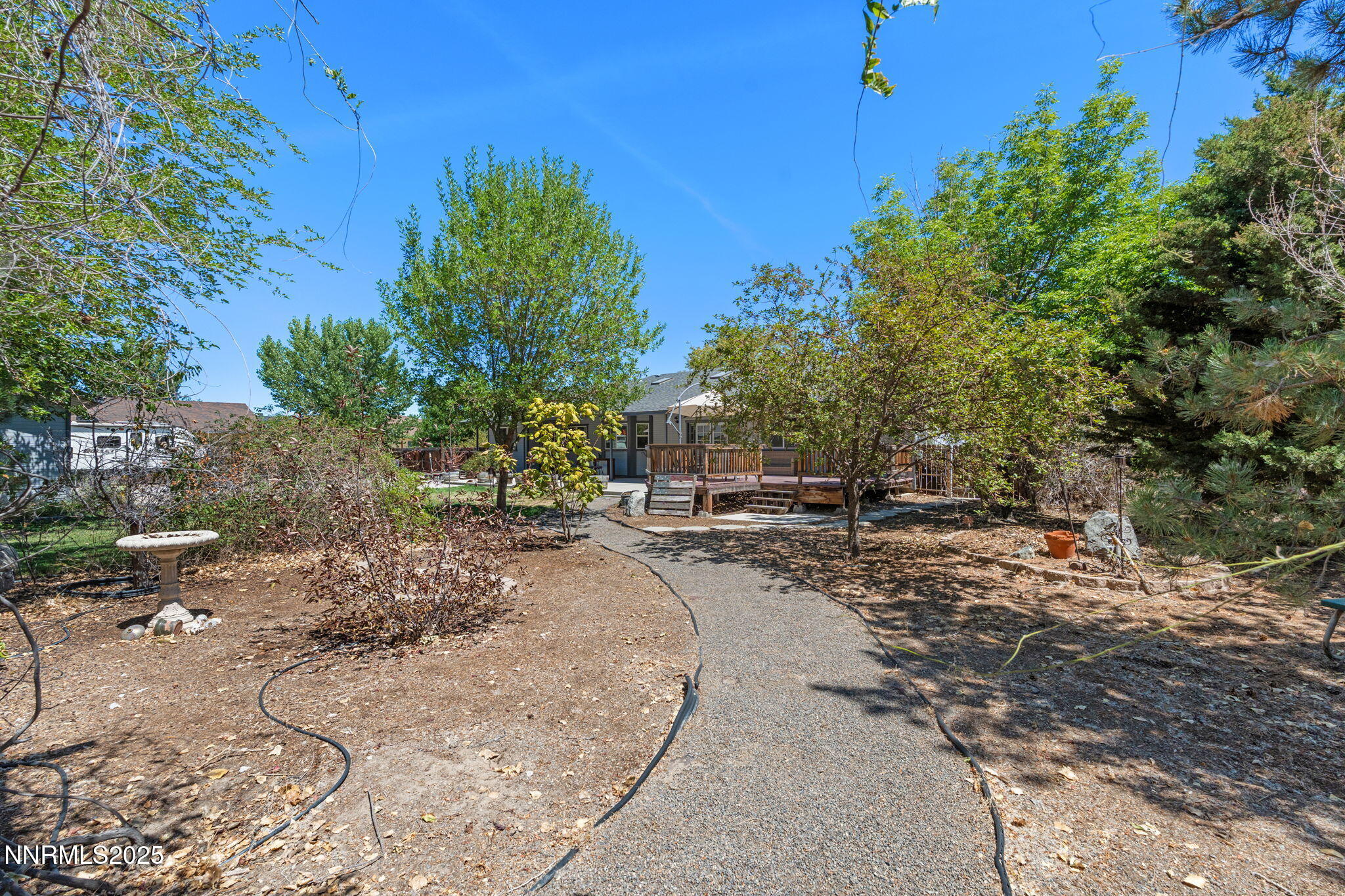 51-web-or-mls-DSC02109