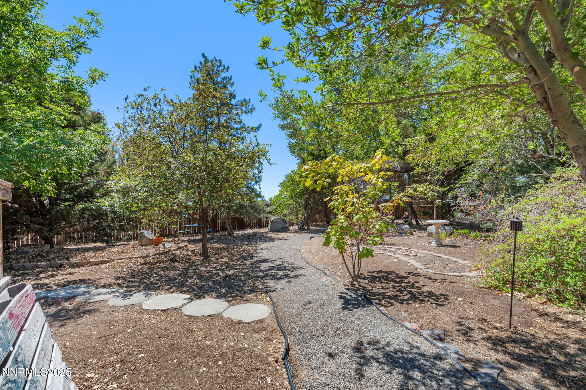 50-web-or-mls-DSC02119